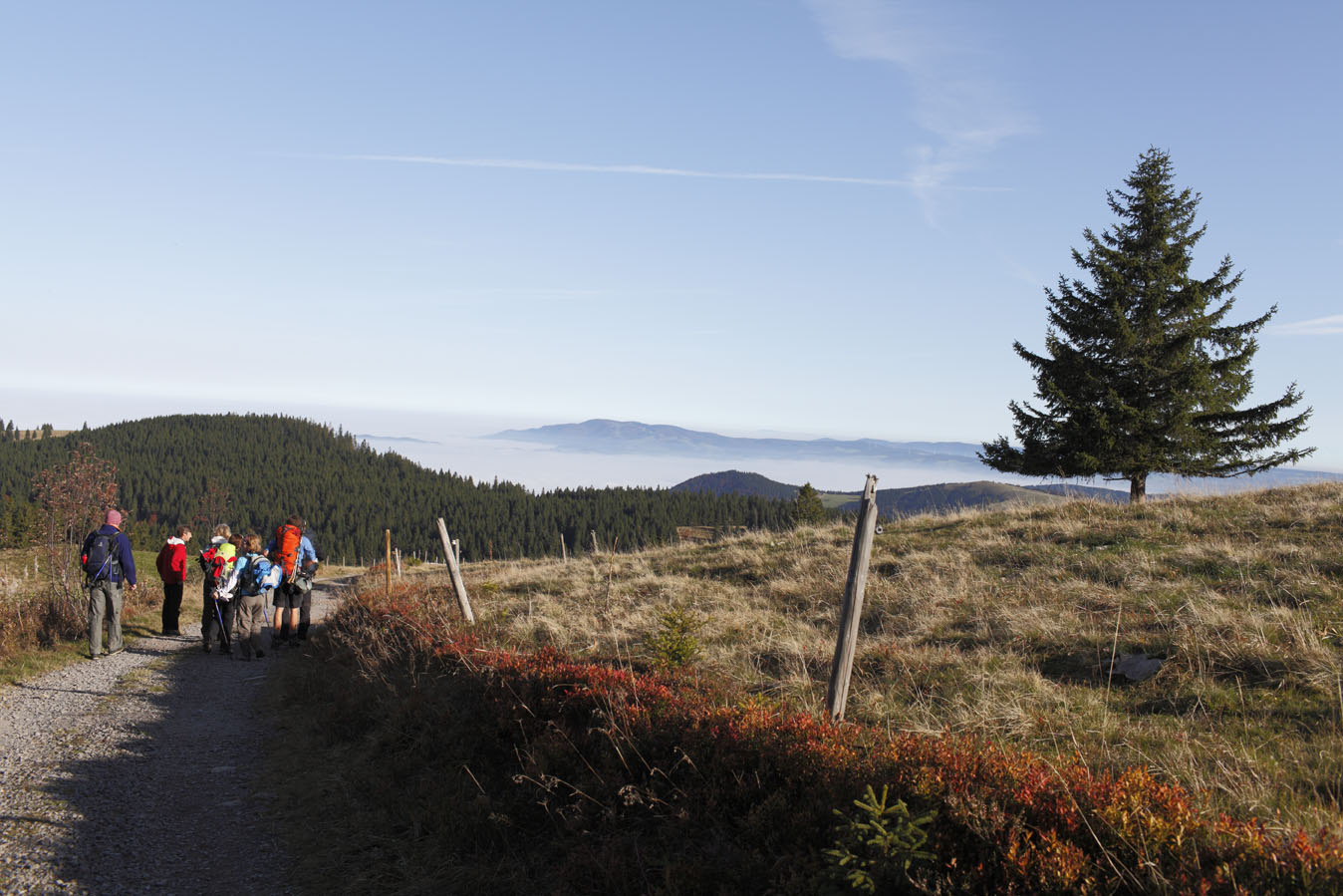 Rundwanderung im Hochschwarzwald für zwei Personen