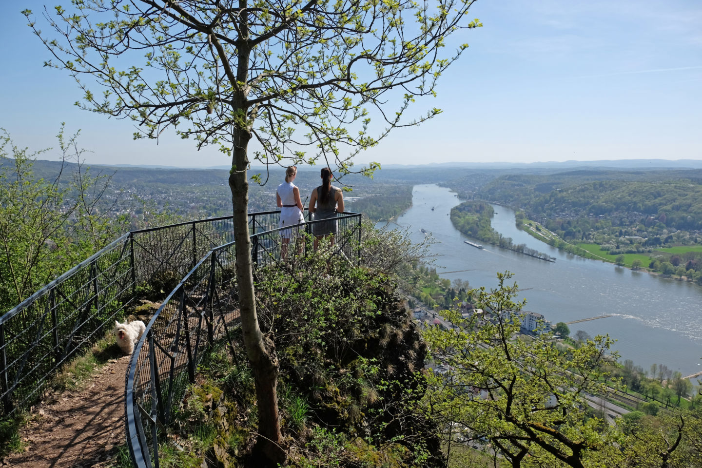 Wander-Rauszeit im JUFA Hotel Königswinter/Bonn****