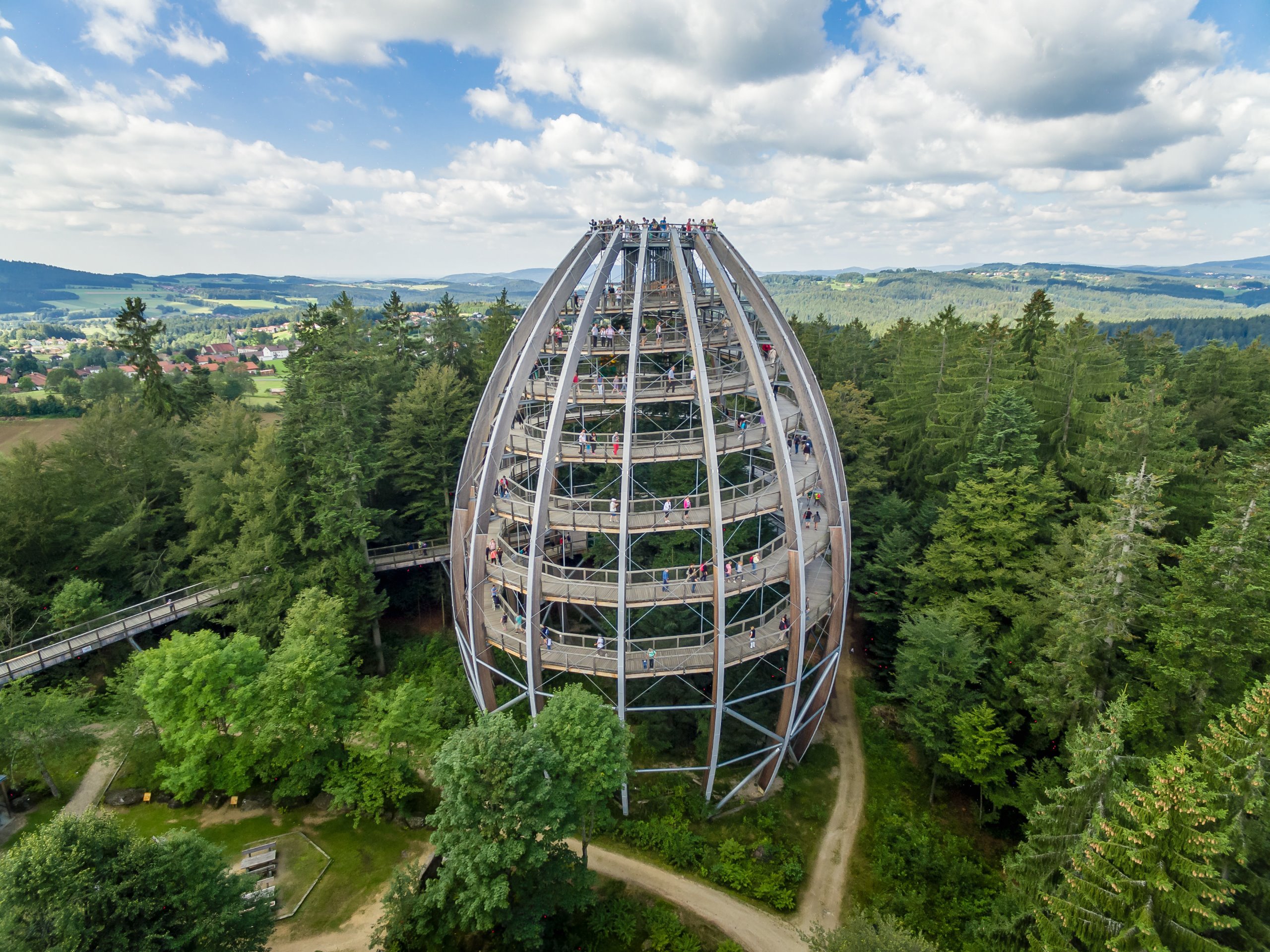 Das besondere Wildnis-Woidpackerl für 2 Personen im Landhotel Postwirt