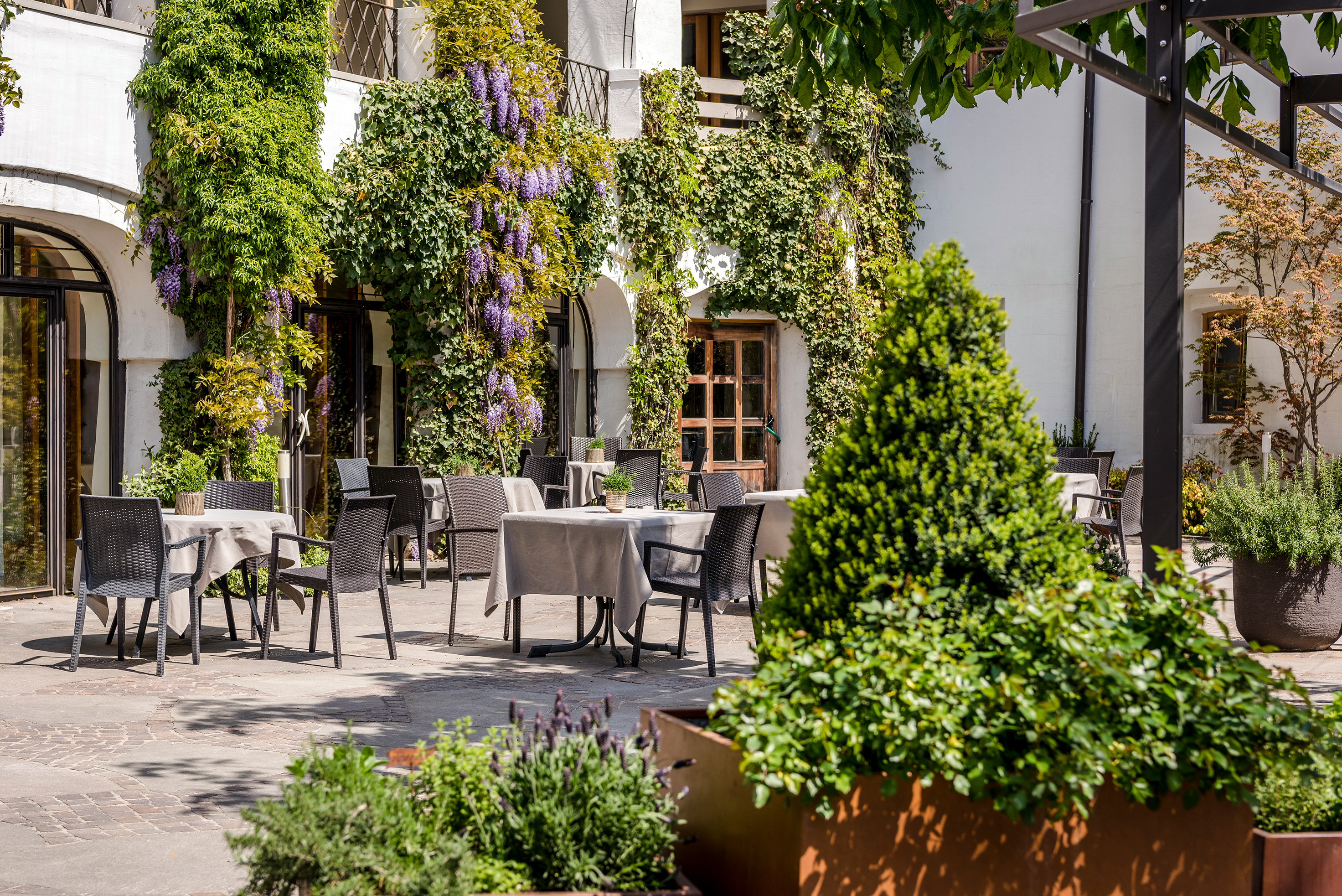 400-Euro-Gutschein für Urlaub im Hotel BOTANGO