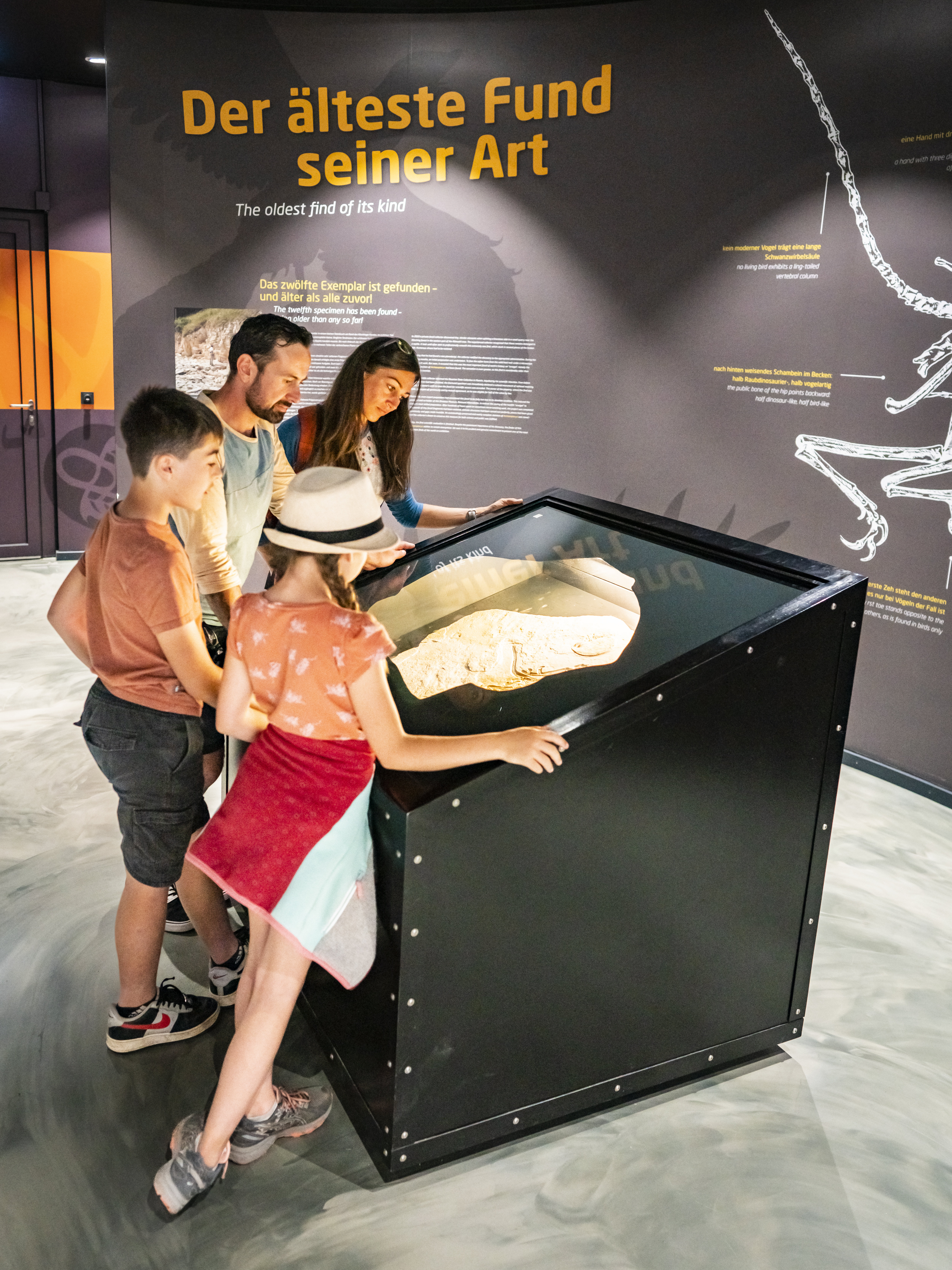 Familienticket für das Dinosaurier Museum Altmühltal inkl. Verpflegung