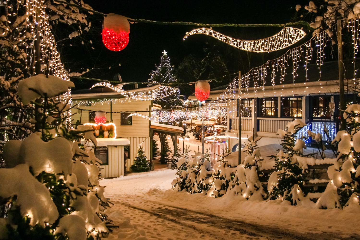 2 Übernachtungen für 2 Erwachsene und 2 Kinder in einer Lodge Blockhütte