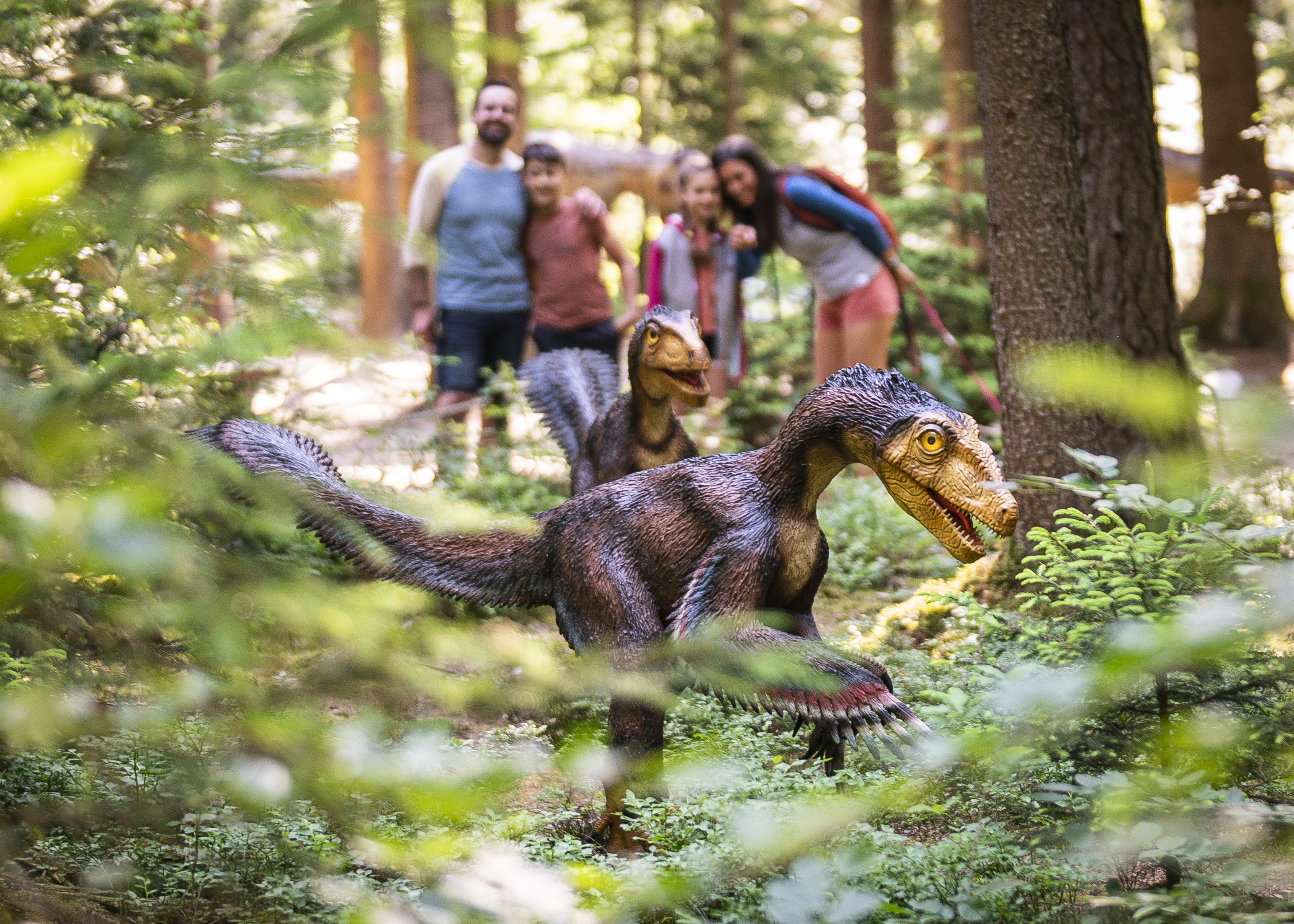 Familienticket für das Dinosaurier Museum Altmühltal inkl. Verpflegung