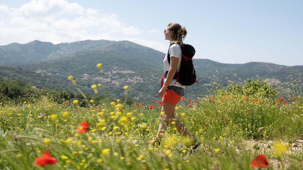 600-Euro-Wertgutschein für Nur-Flug nach Nordkorsika (Calvi)