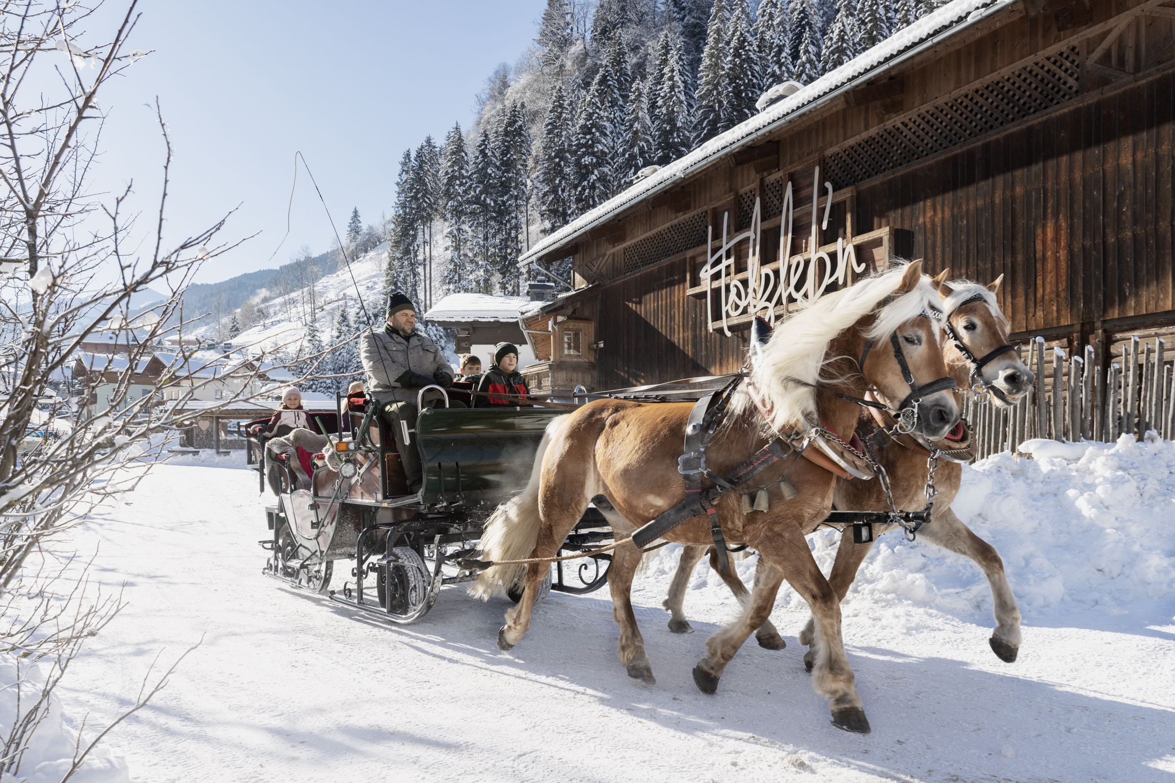 Chalet-Urlaub im Großarltal im Salzburgerland