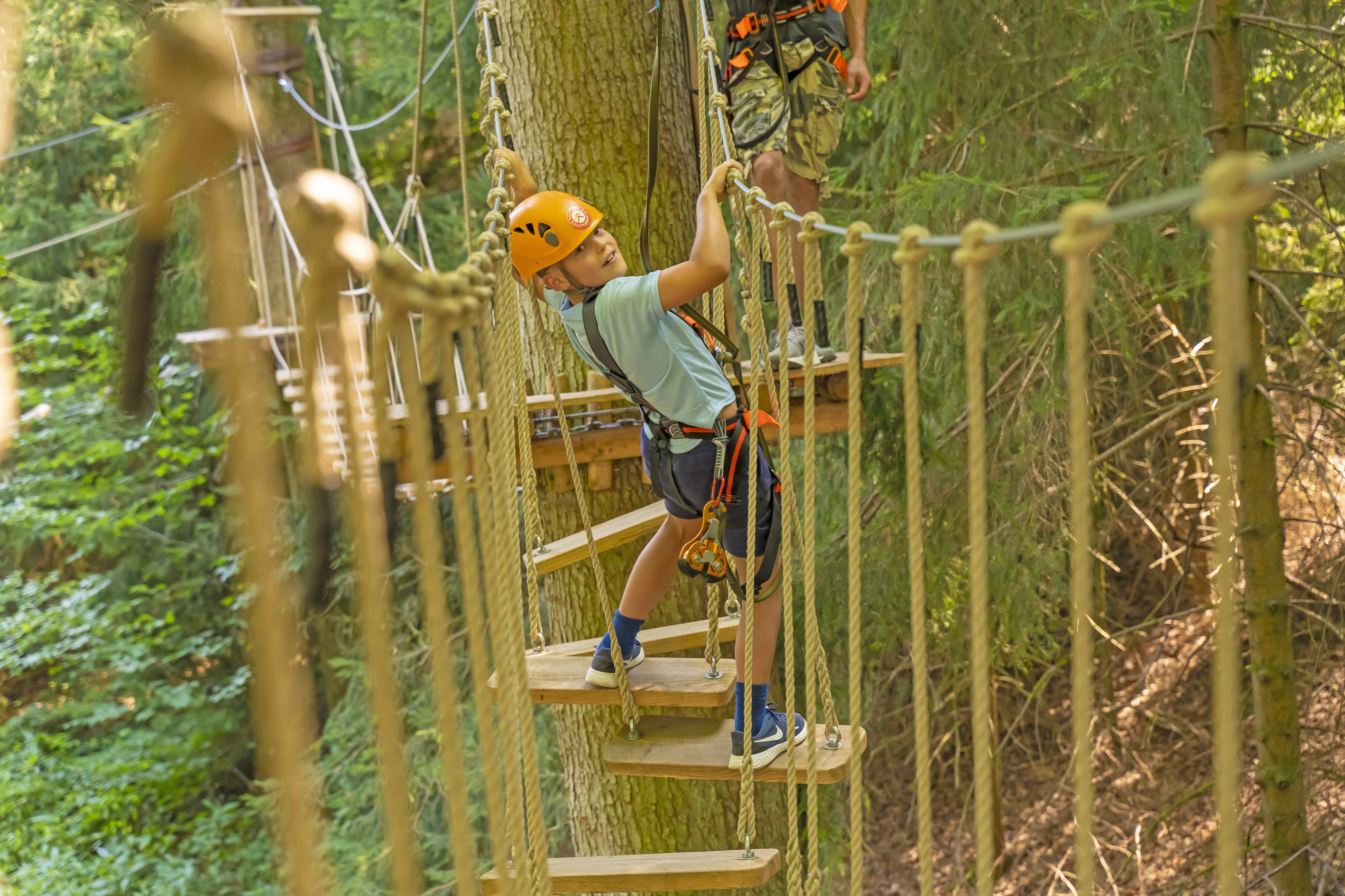 50-Euro-Gutschein für den Kletterwald Prien am Chiemsee