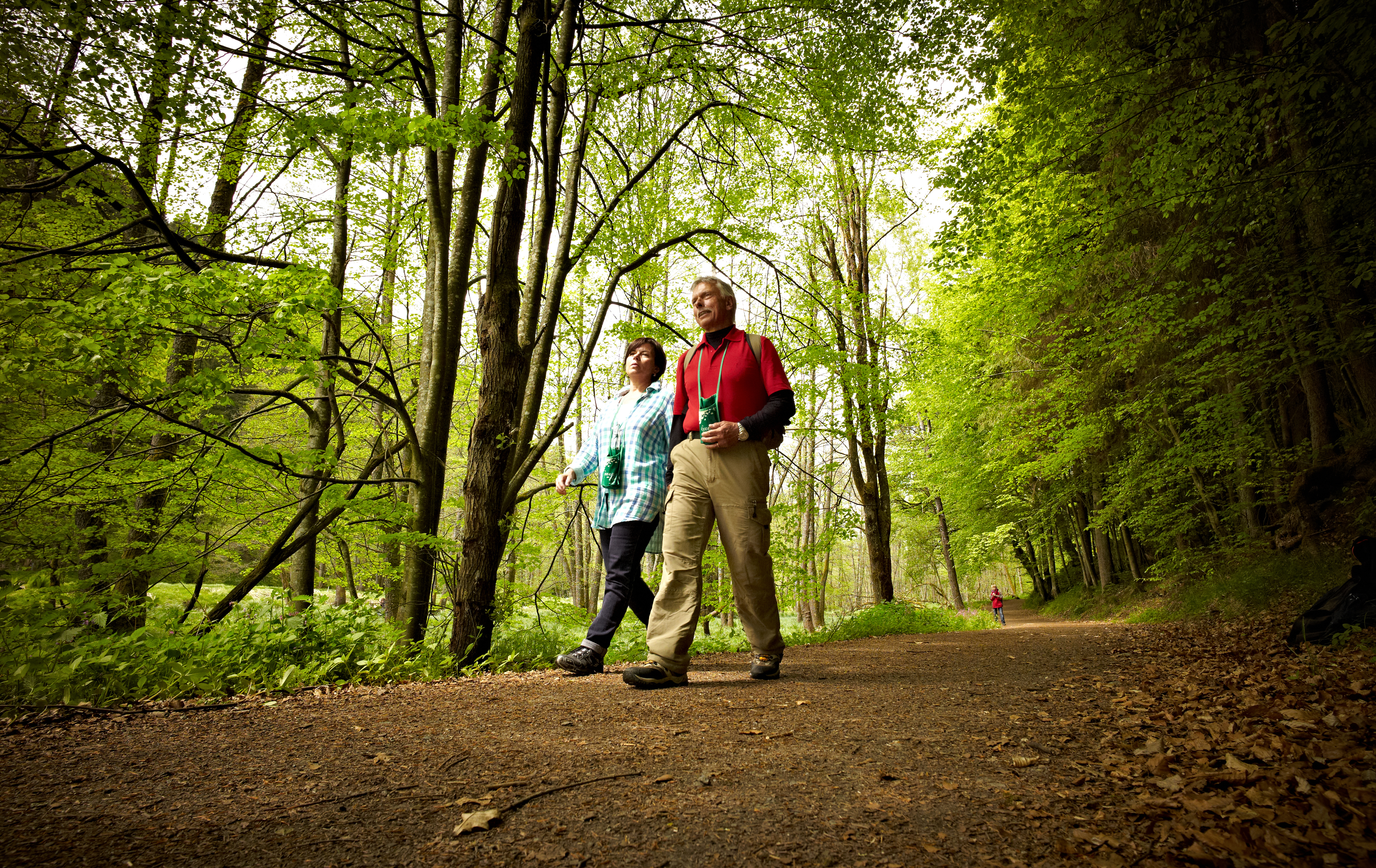 Wandern ohne Gepäck auf dem Gläsernen Steig für zwei Personen