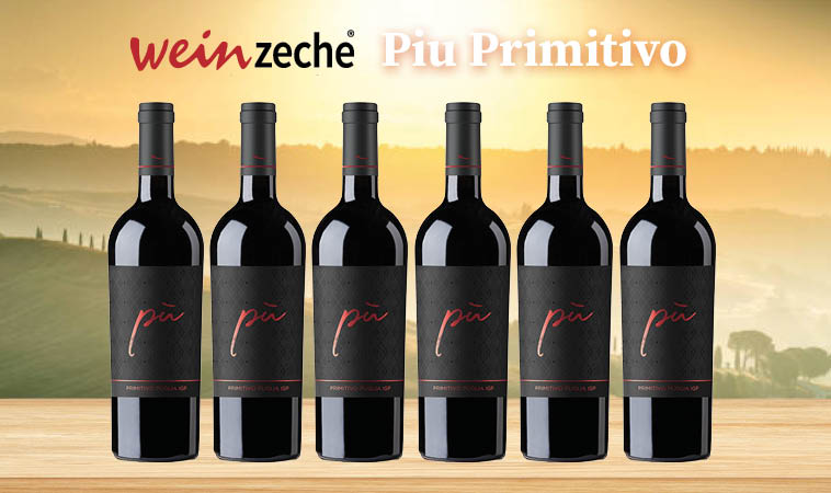6 Flaschen Piu Primitivo