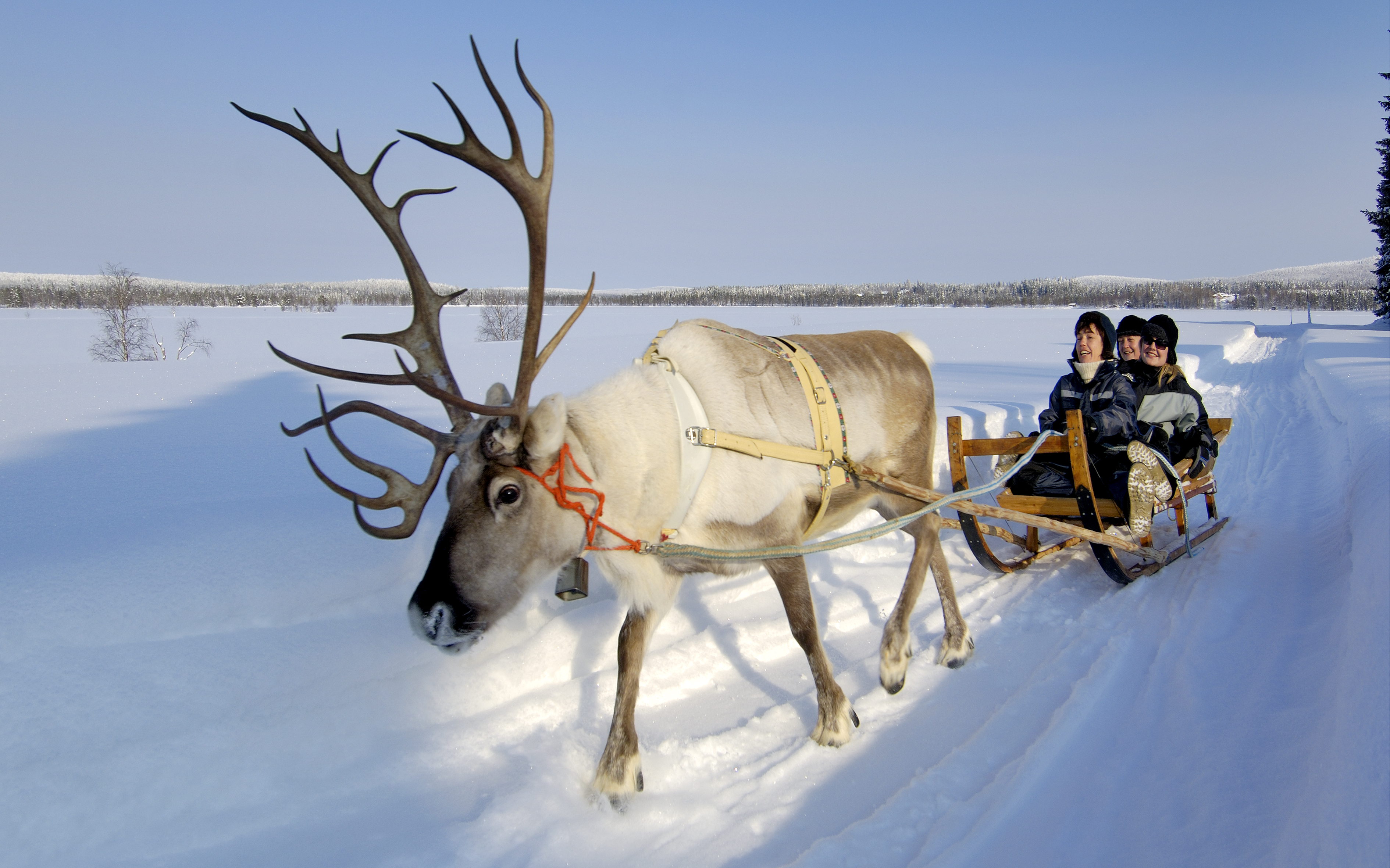 Aktivurlaub in Lappland
