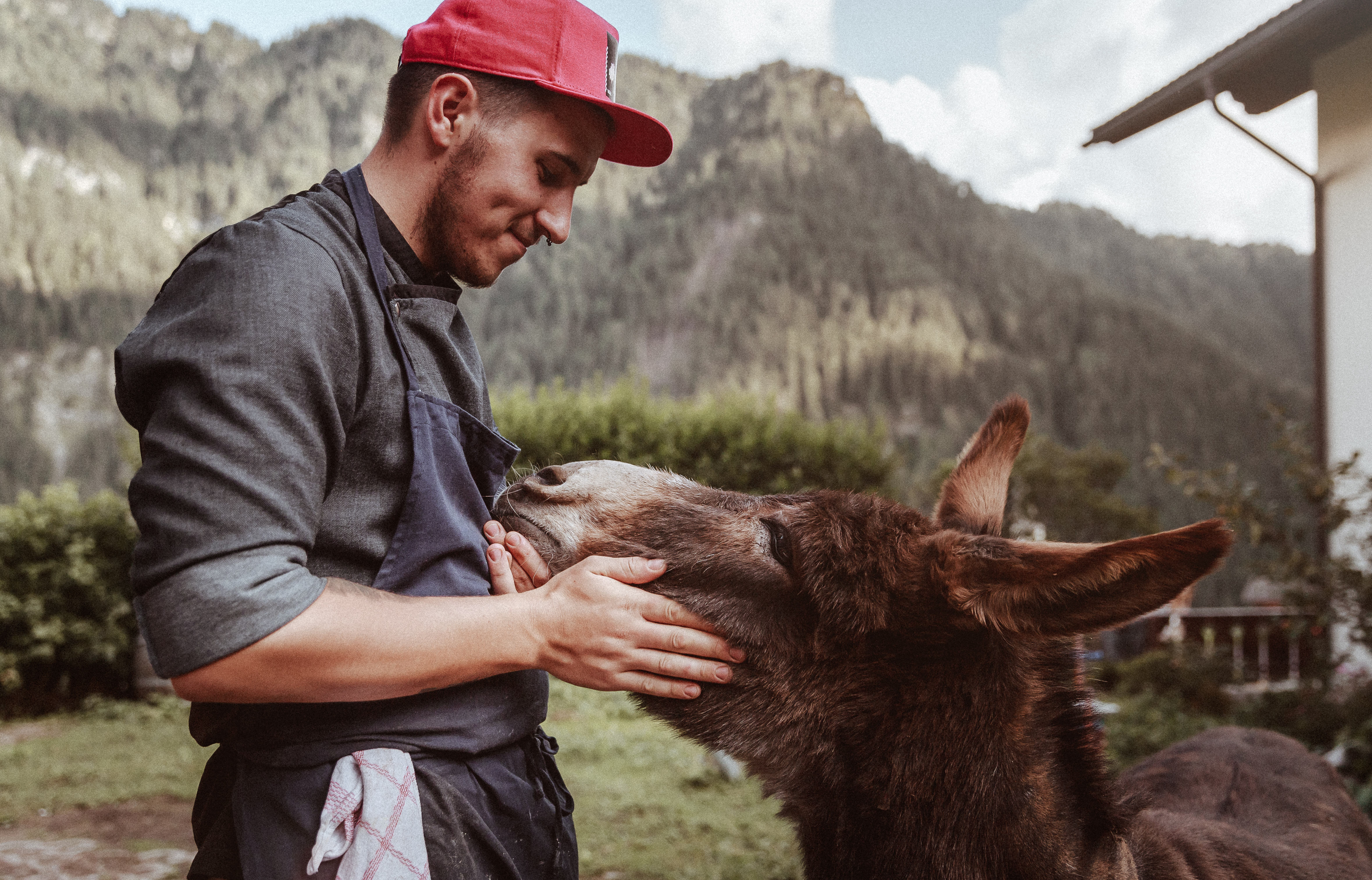 800-Euro-Gutschein für Urlaub im MEA VIA Slow Farm Hotel