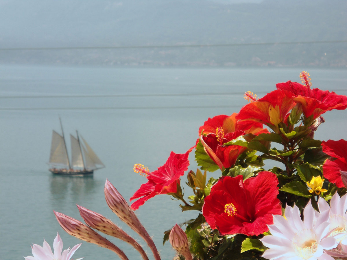 Kurzurlaub in der Ferienanlage Taki Village am Gardasee