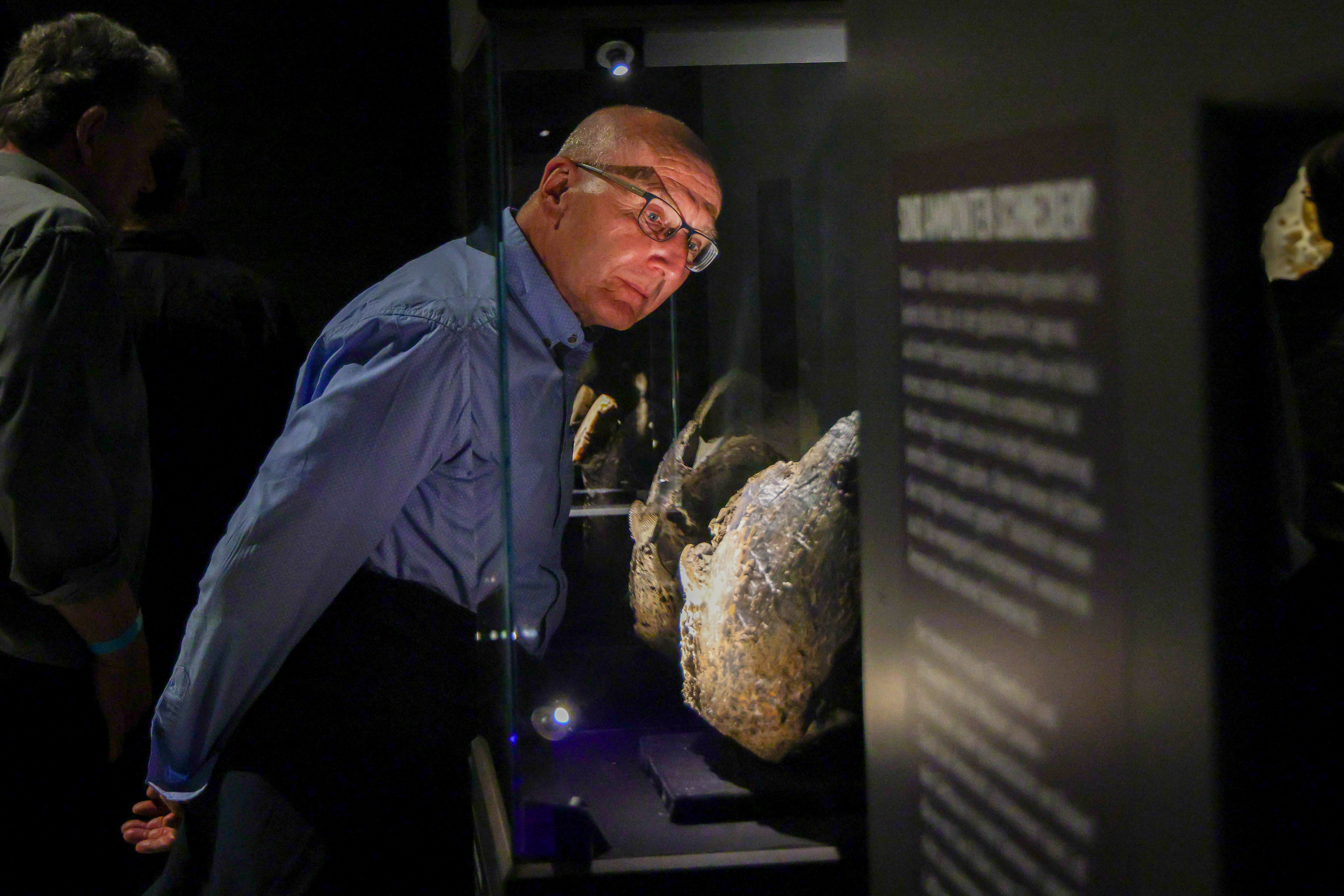 Familienticket für das Dinosaurier Museum Altmühltal inkl. Verpflegung