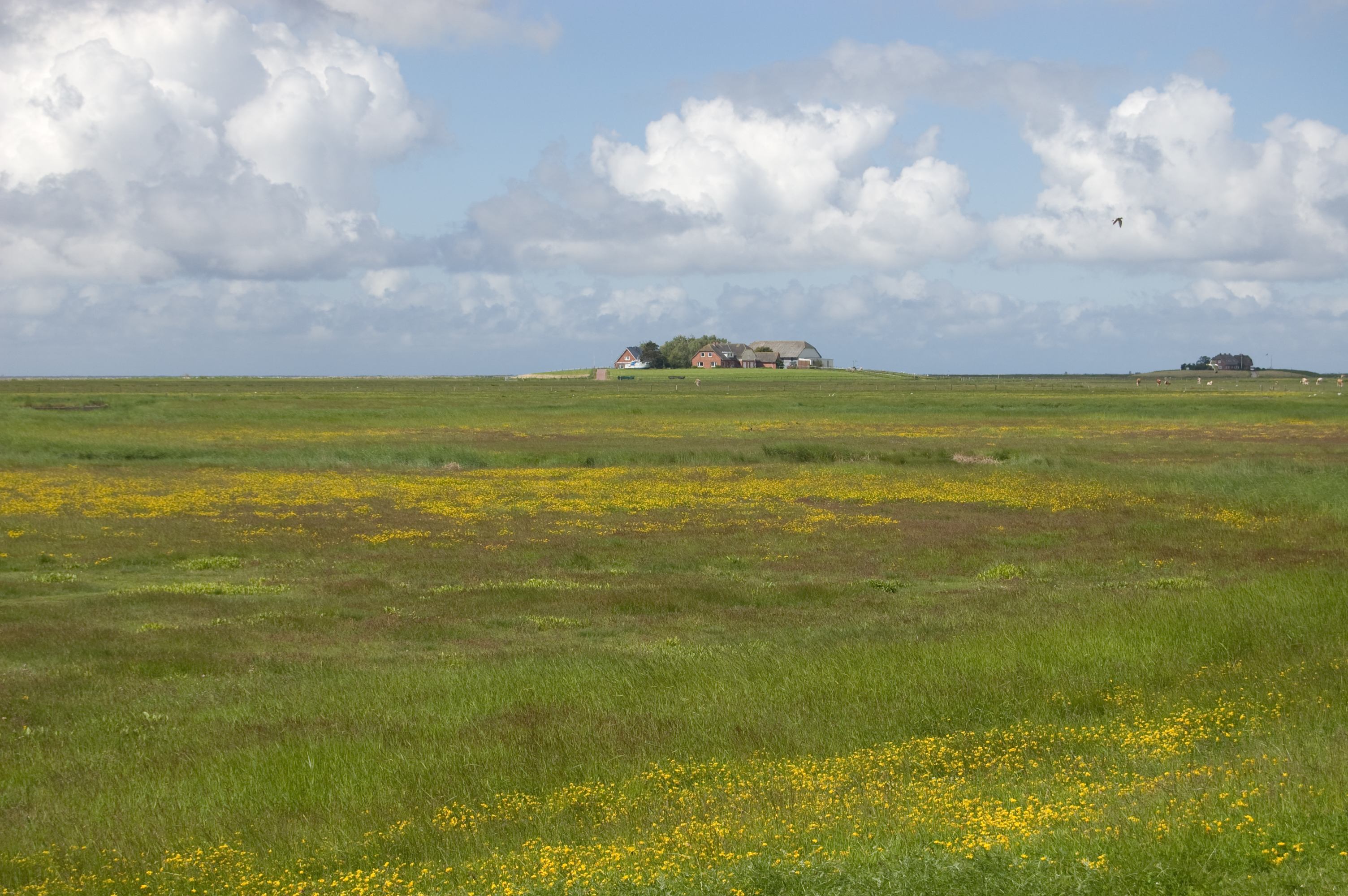 5 Übernachtungen im Hotel Hilligenley auf Hallig Langeneß für 2 Personen