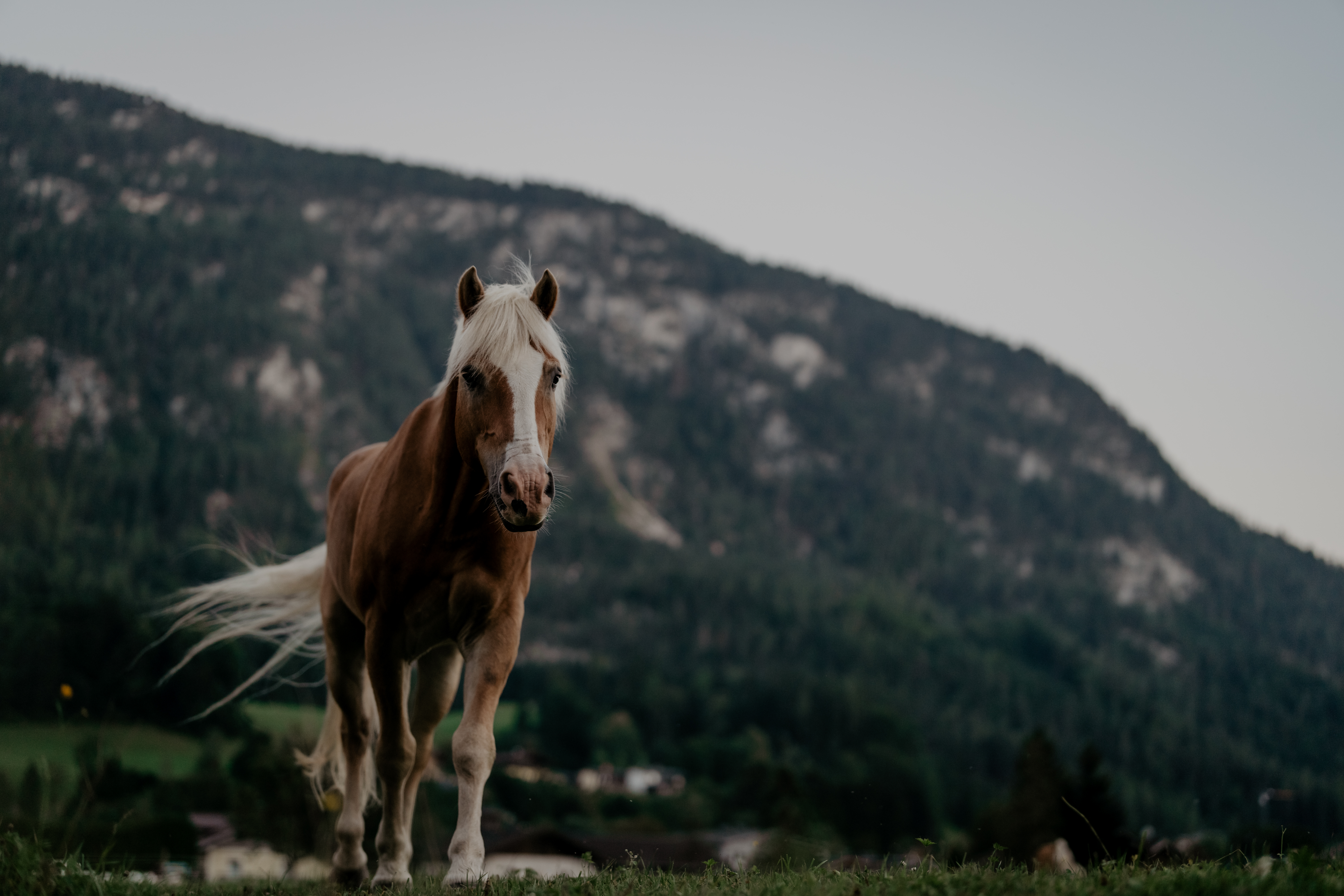 Ihr Gutschein für Ihren Familienurlaub im Salzburger Land