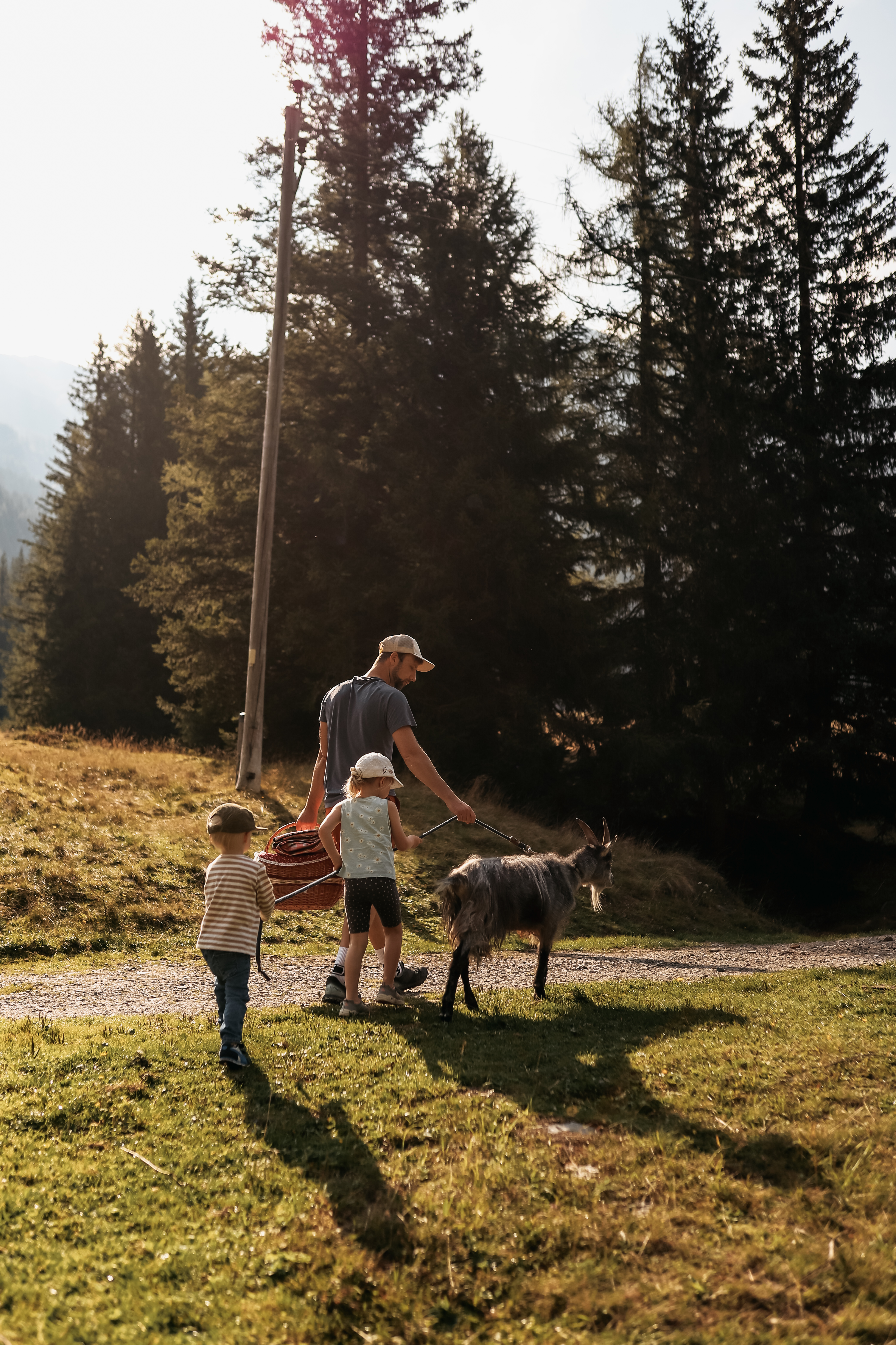 Gutschein im Wert von 1.284 Euro für Urlaub im Chaletdorf HOCHoben
