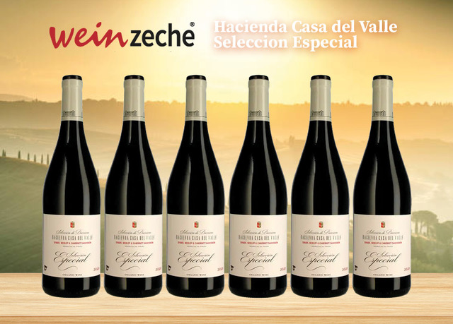 6 Flaschen Hacienda Casa del Valle