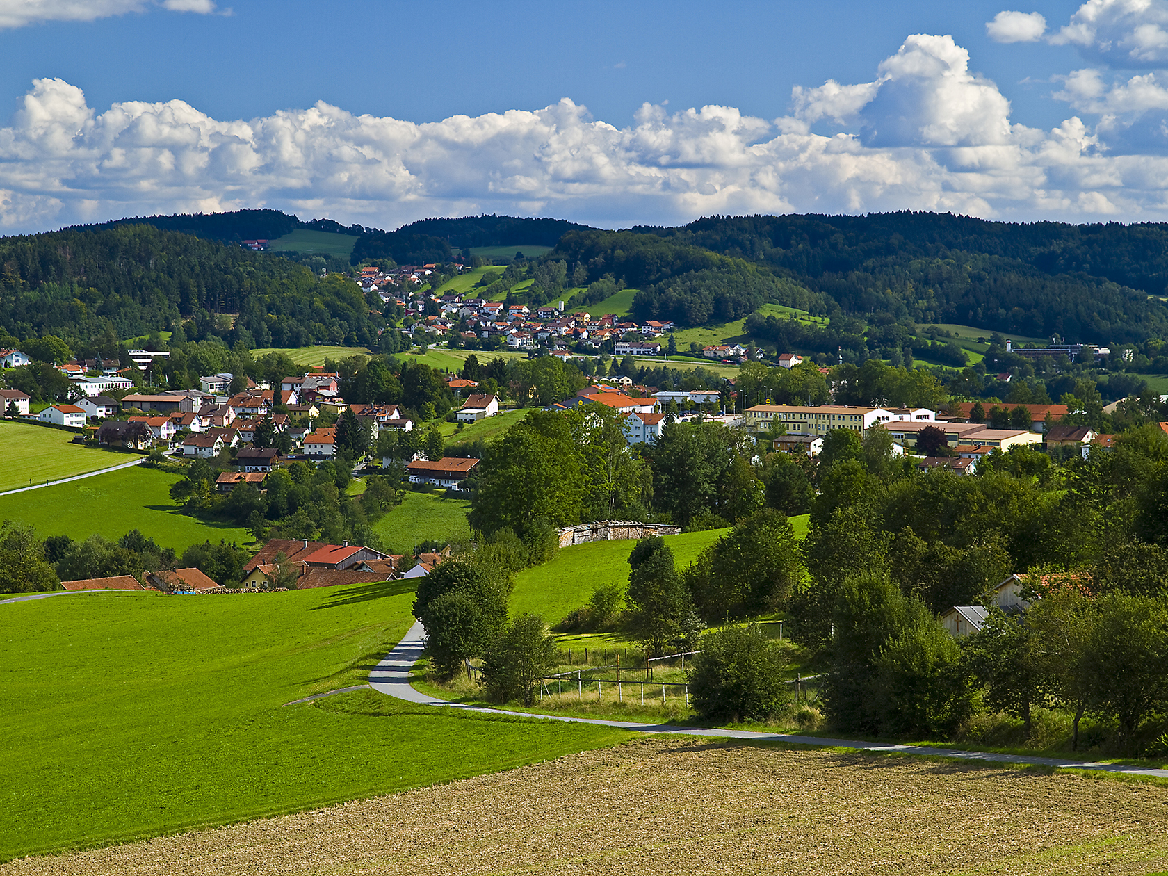 Wanderpauschale NATUR BÄRleben mit 3 Nächten für zwei Personen in Grafenau