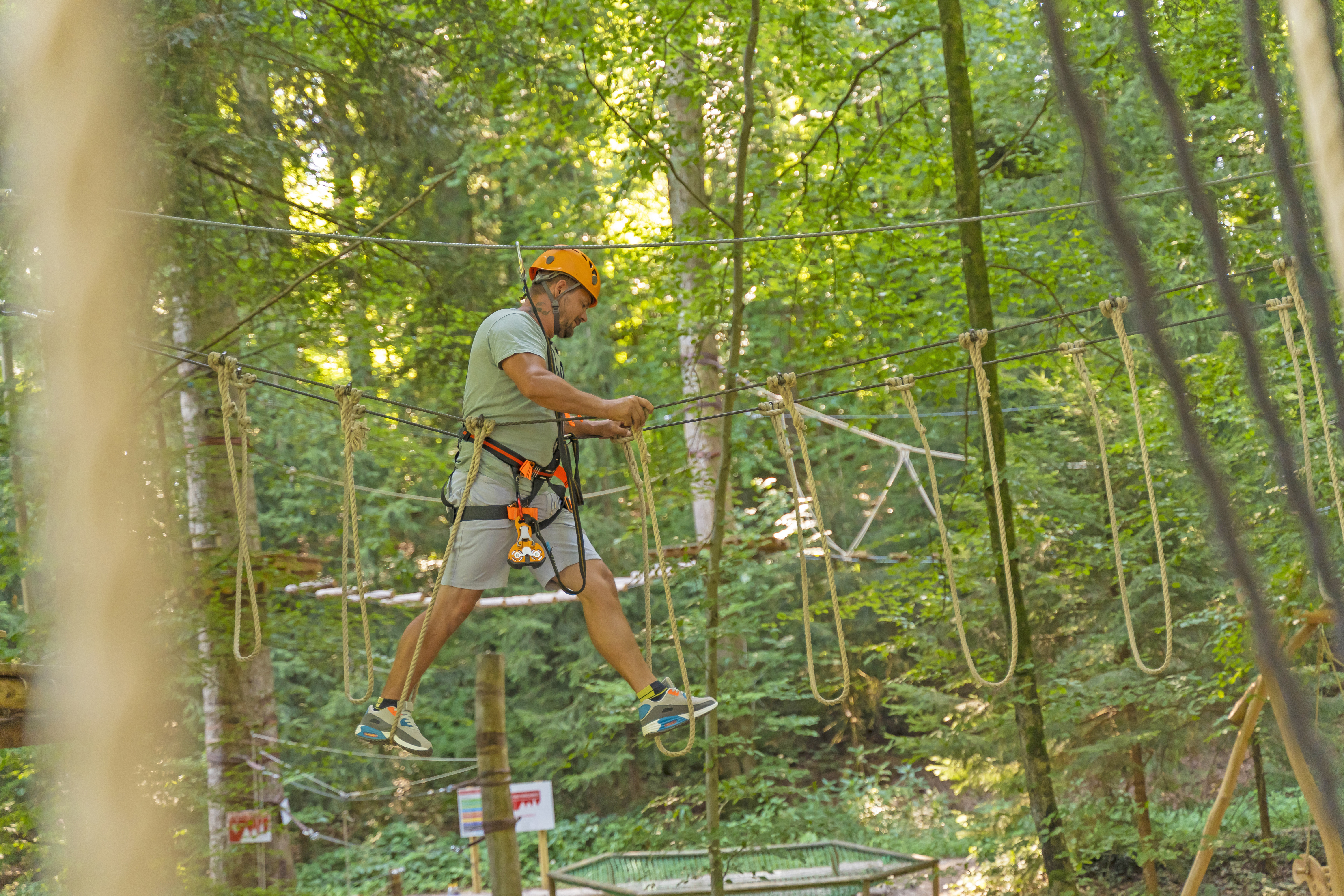 50-Euro-Gutschein für den Kletterwald Prien am Chiemsee