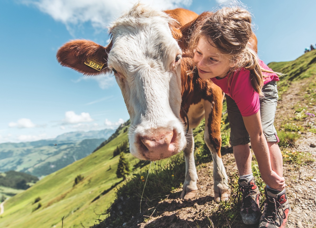 1.000-Euro-Gutschein für eine Schweiz- oder Österreich-Reise