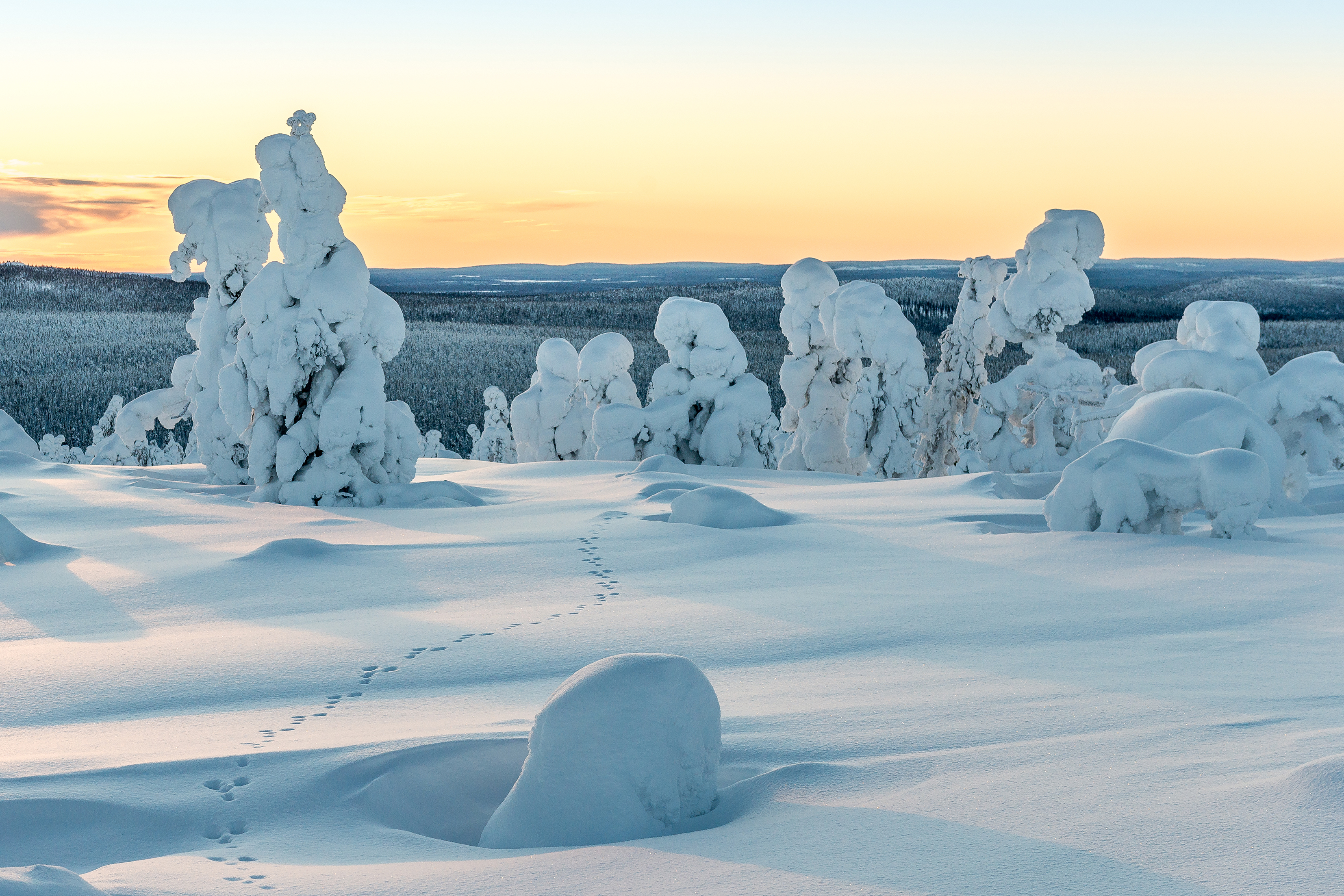 Aktivurlaub in Lappland