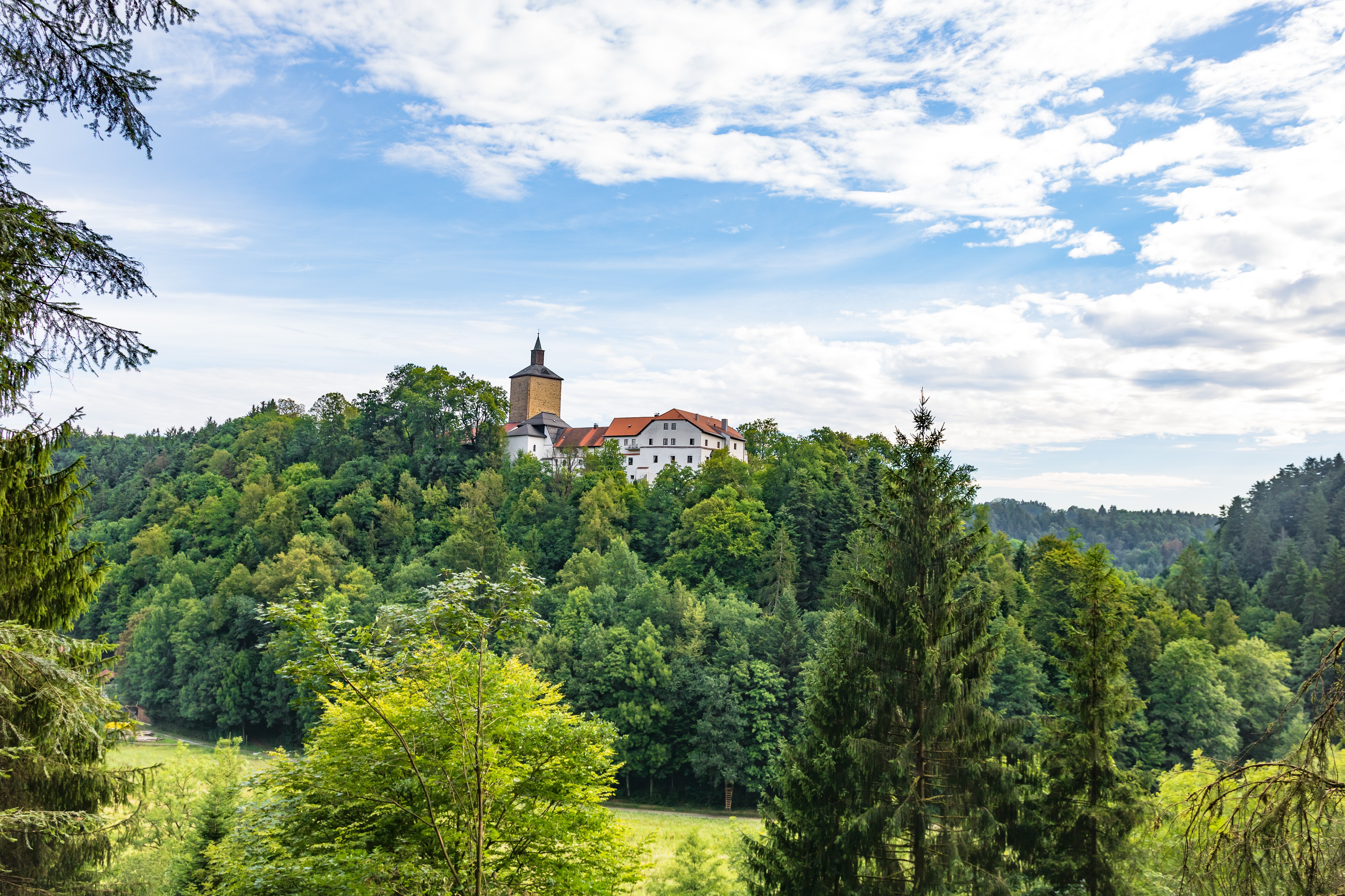 WALDPILGERN - auf der Via Nova für 2 Personen