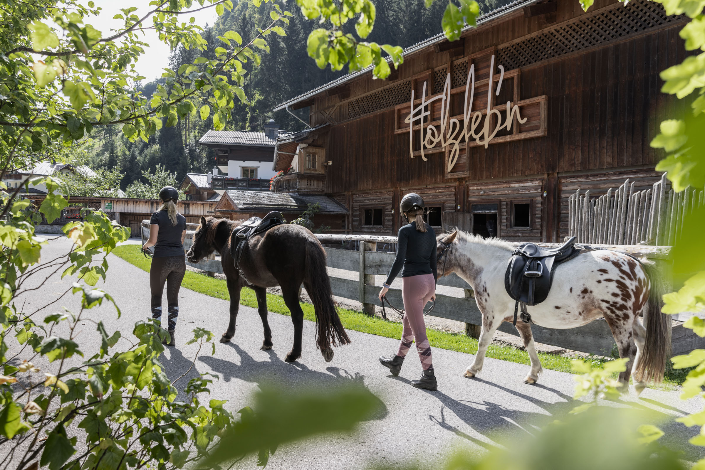 Chalet-Urlaub im Großarltal, Salzburgerland