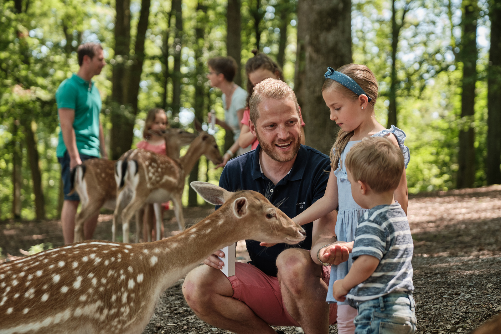 Je 2 Tages-Pässe für den Erlebnispark Tripsdrill