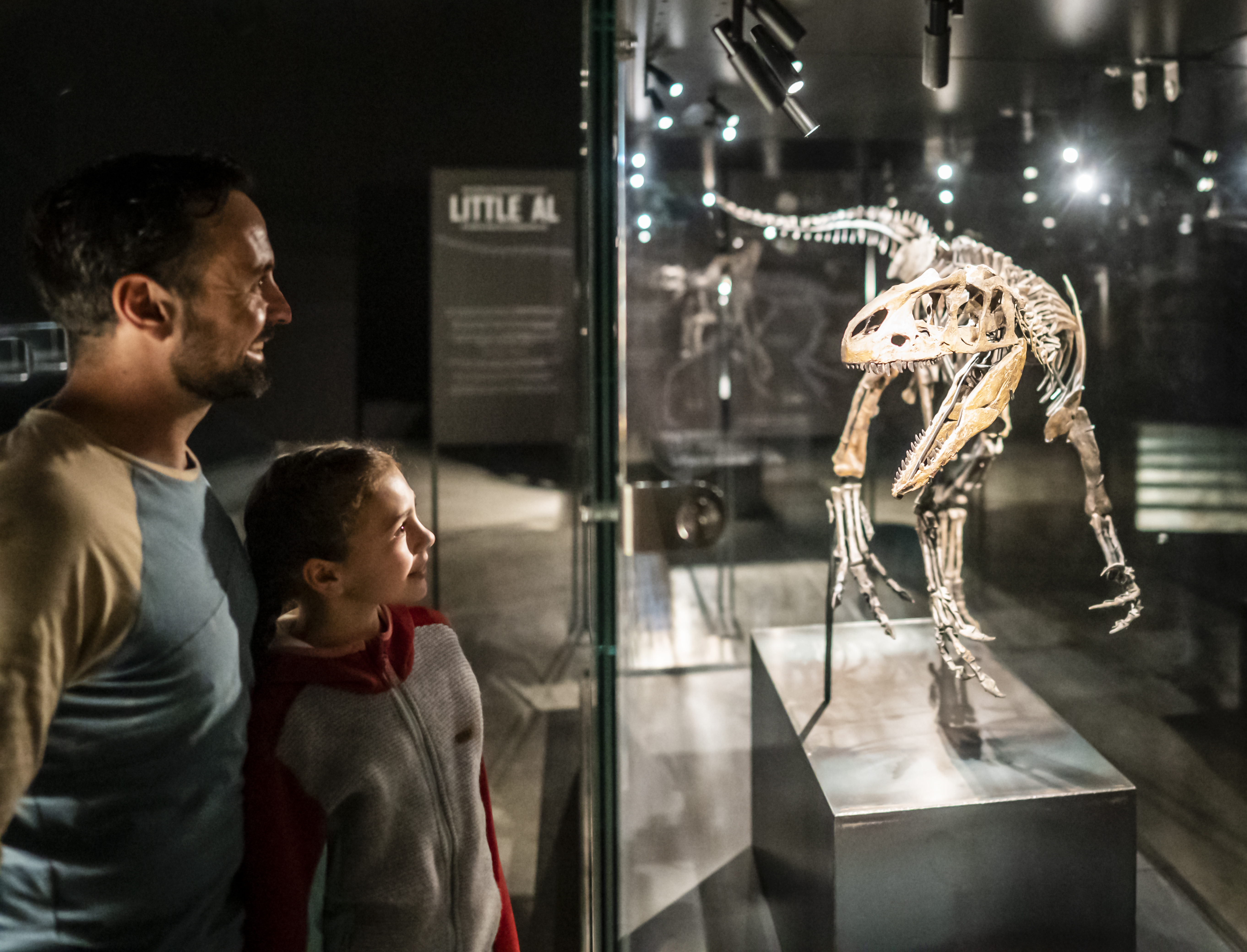 Familienticket für das Dinosaurier Museum Altmühltal inkl. Verpflegung
