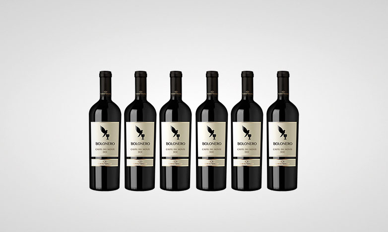 6 Flaschen Torrevento Bolonero Castel del Monte Rosso DOC 2019