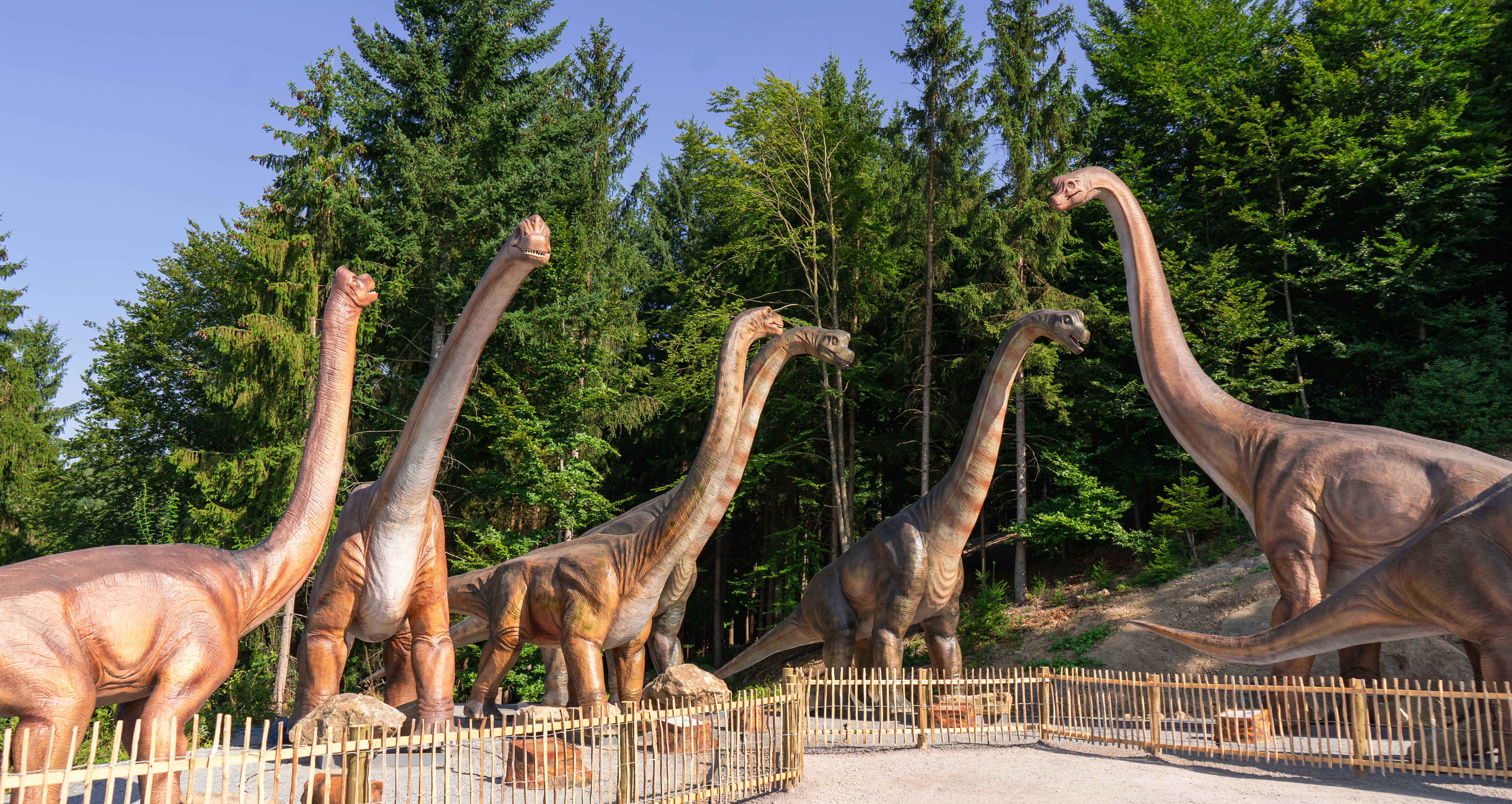 2 Saisonkarten für den Edelwies Erlebnispark