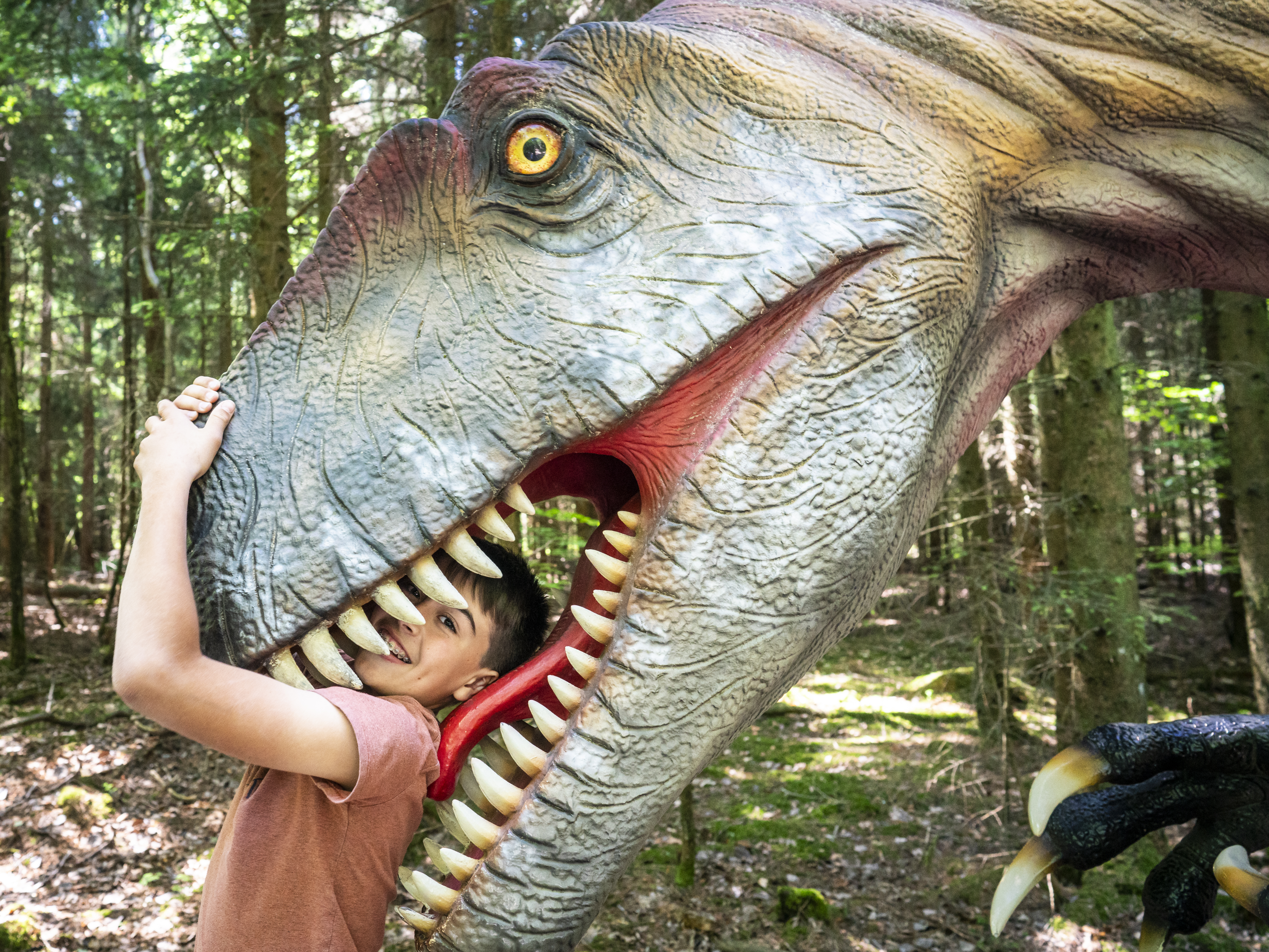 Familienticket für das Dinosaurier Museum Altmühltal inkl. Verpflegung
