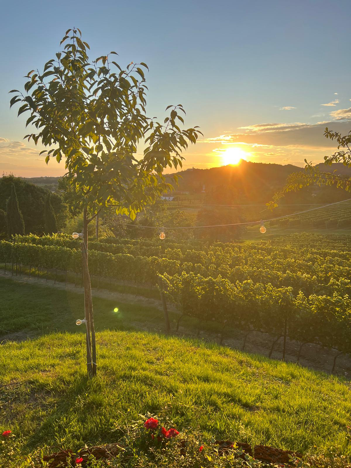 Salzbike-Radreise für 2 Personen nach Wahl im Wert von 3.898 Euro