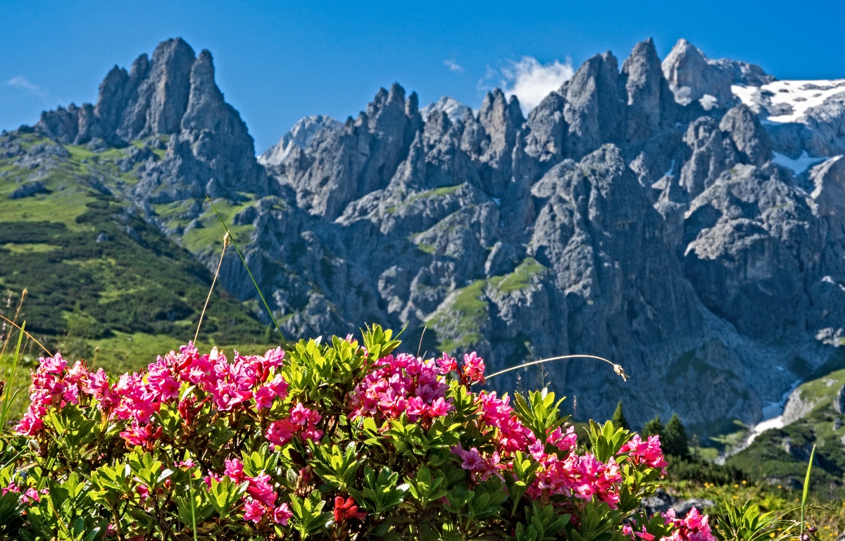 1.000-Euro-Gutschein für eine Schweiz- oder Österreich-Reise