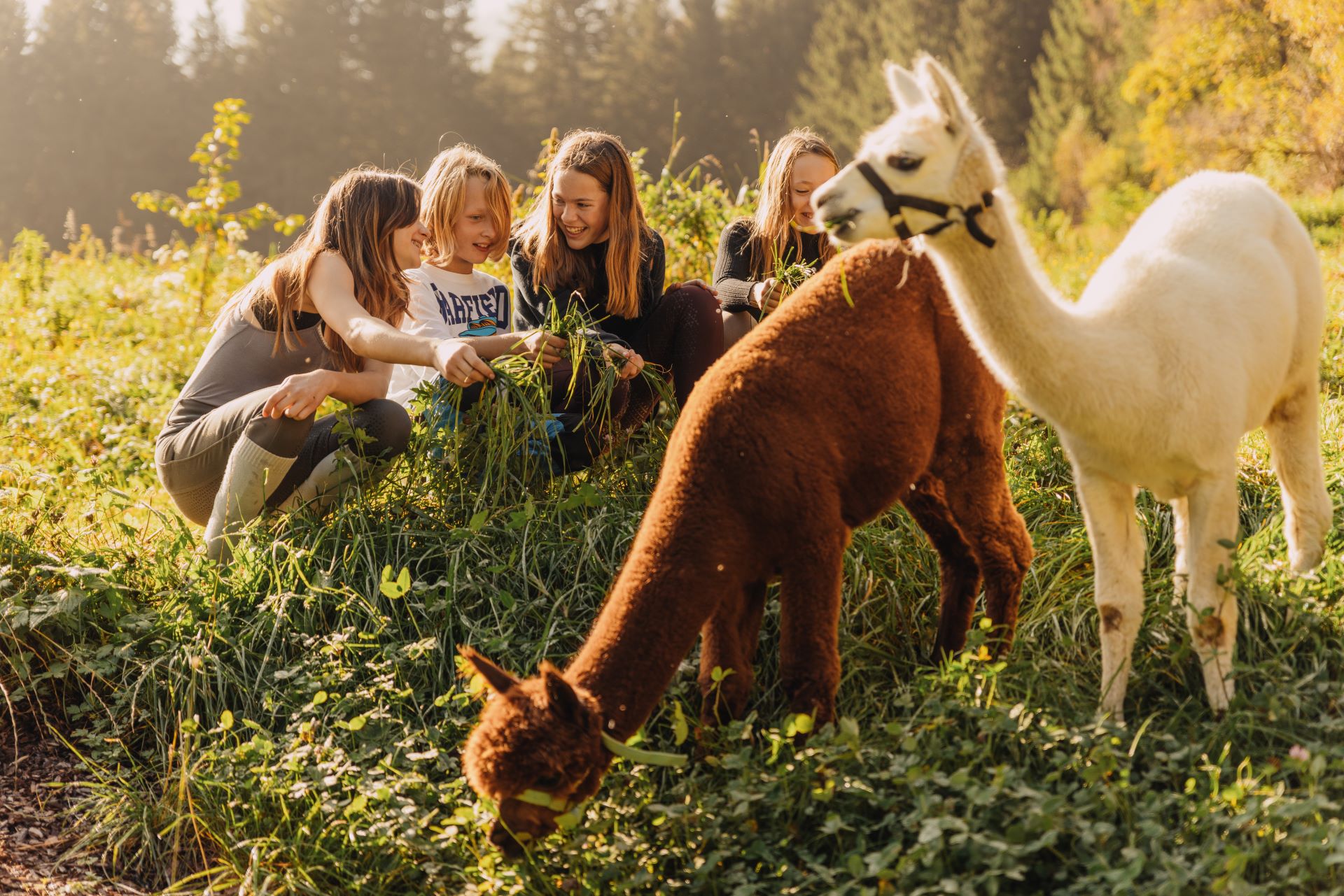 1.750-Euro-Gutschein für Urlaub im Chaletdorf Moserhof