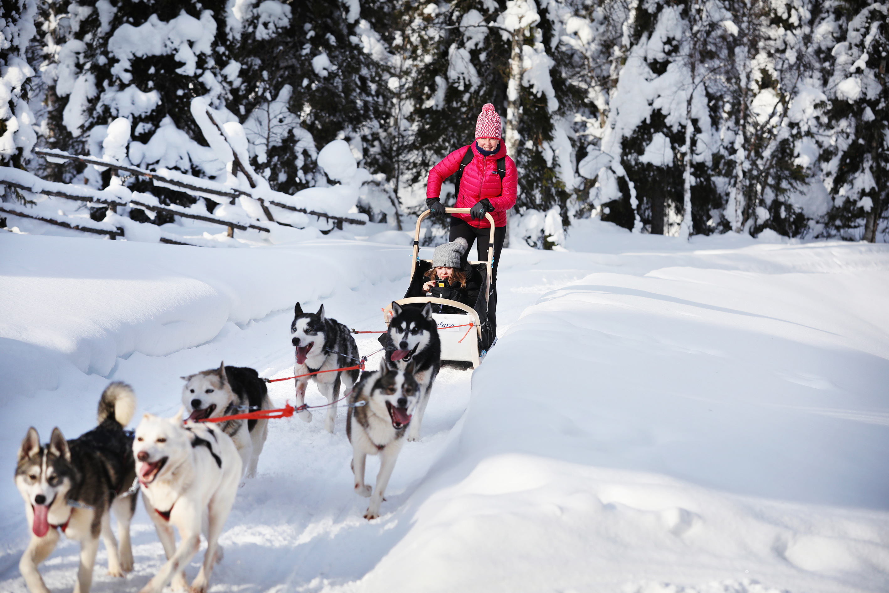 Aktivurlaub in Lappland