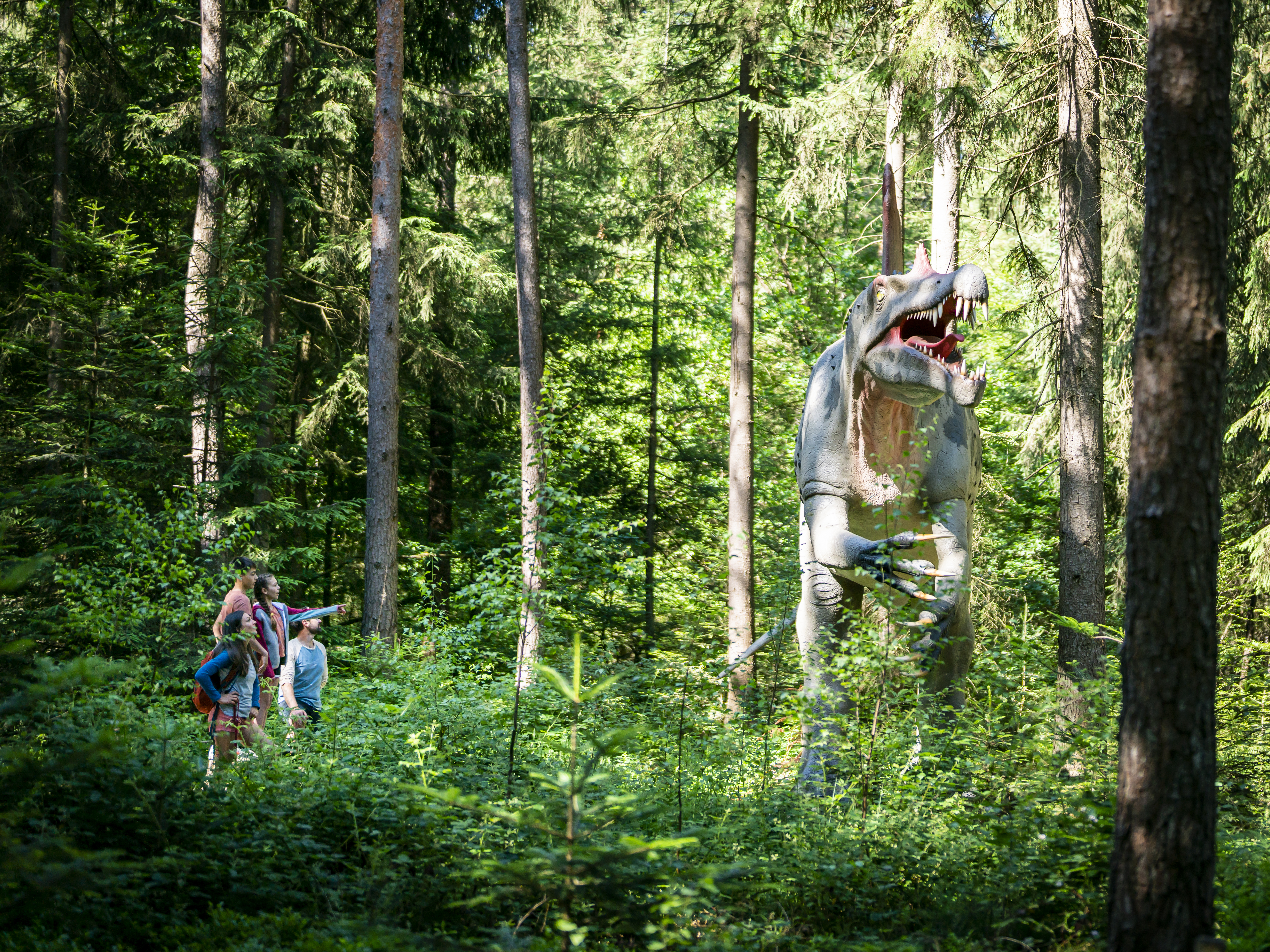 Familienticket für das Dinosaurier Museum Altmühltal inkl. Verpflegung