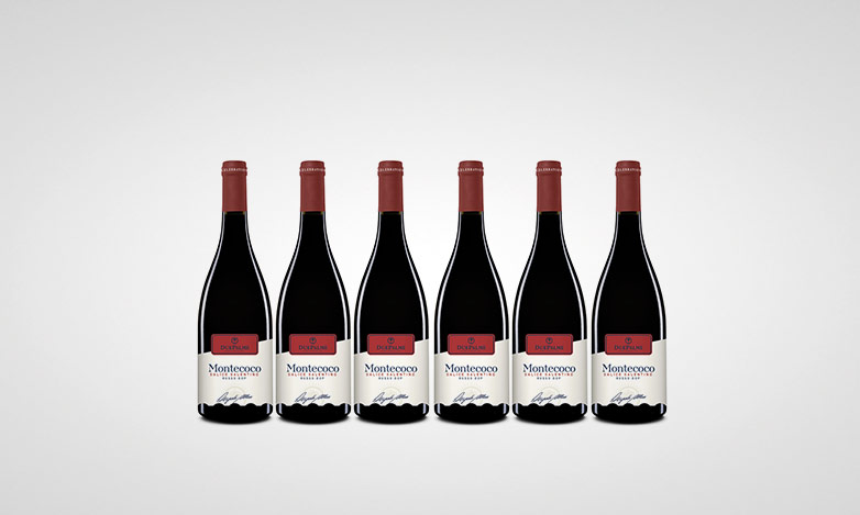 6 Flaschen Cantine Due Palme Montecoco Salice Salentino DOP 2020