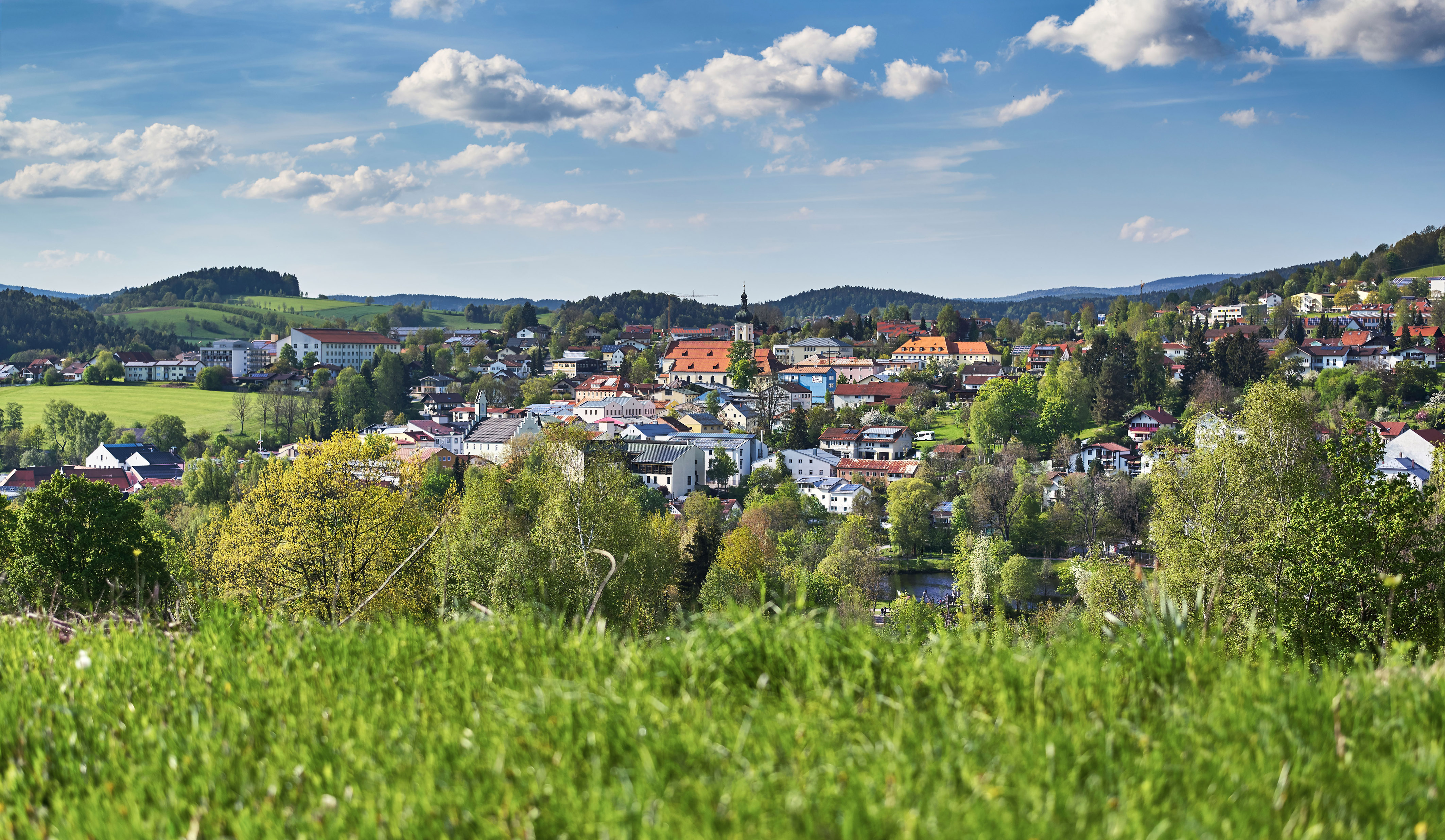 WALDPILGERN - auf der Via Nova für 2 Personen