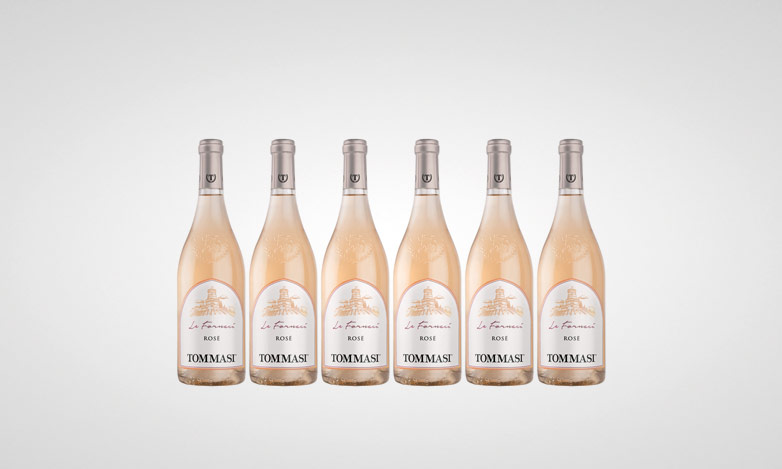 6 Flaschen Tommasi Le Fornaci Rosé DOC 2022