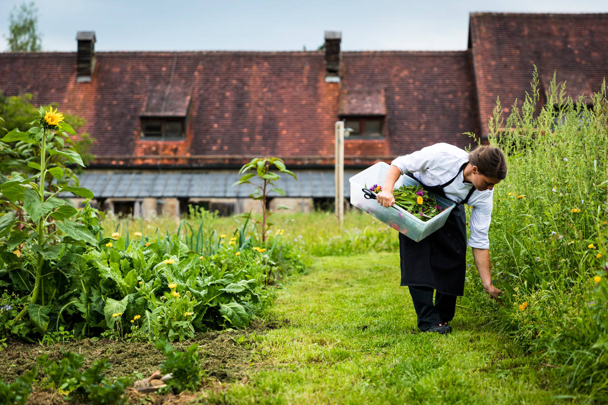 100-Euro-Gutschein für Essen im FARMER'S CLUB Restaurant