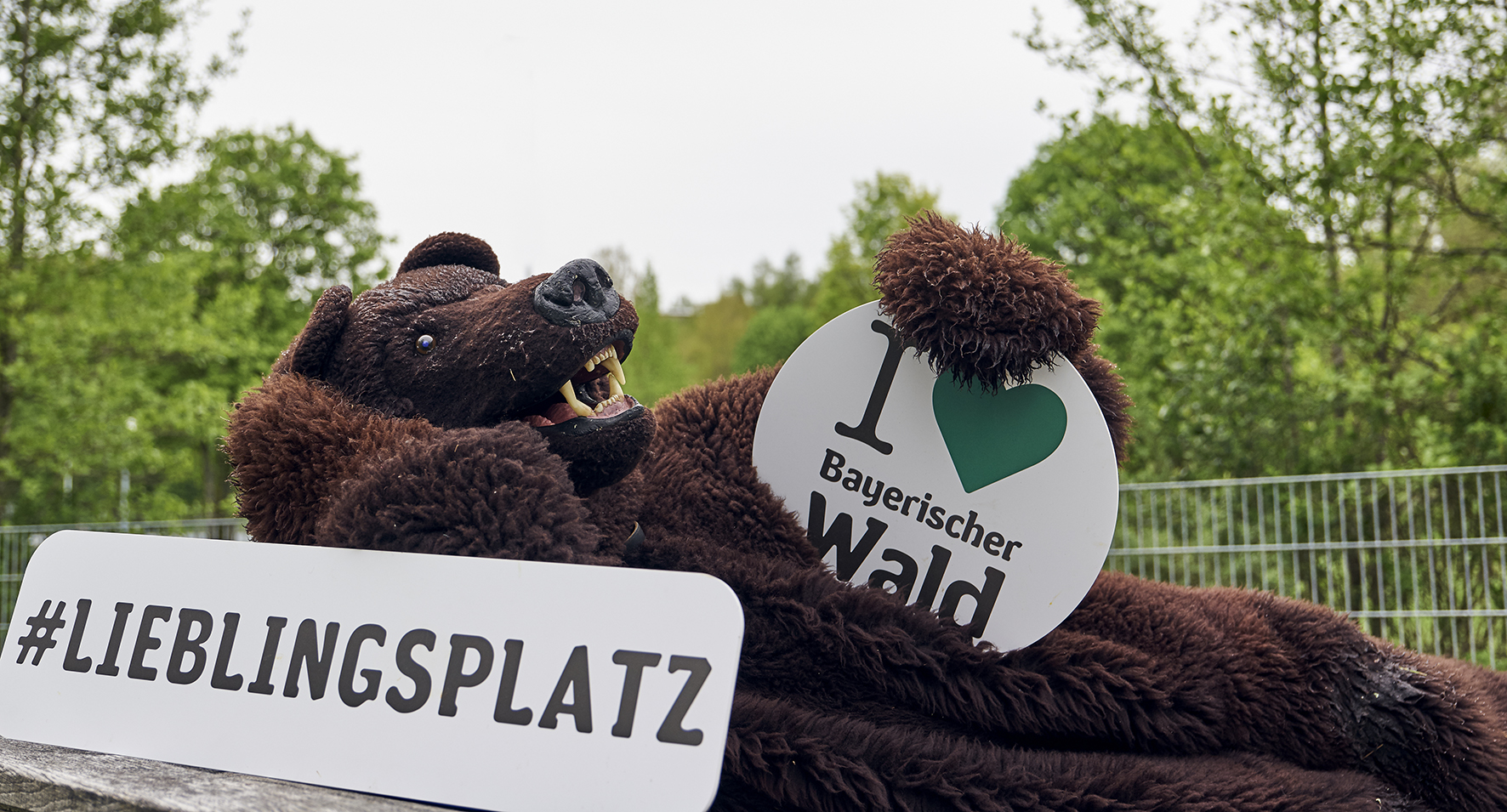 Wanderpauschale NATUR BÄRleben mit 3 Nächten für zwei Personen in Grafenau