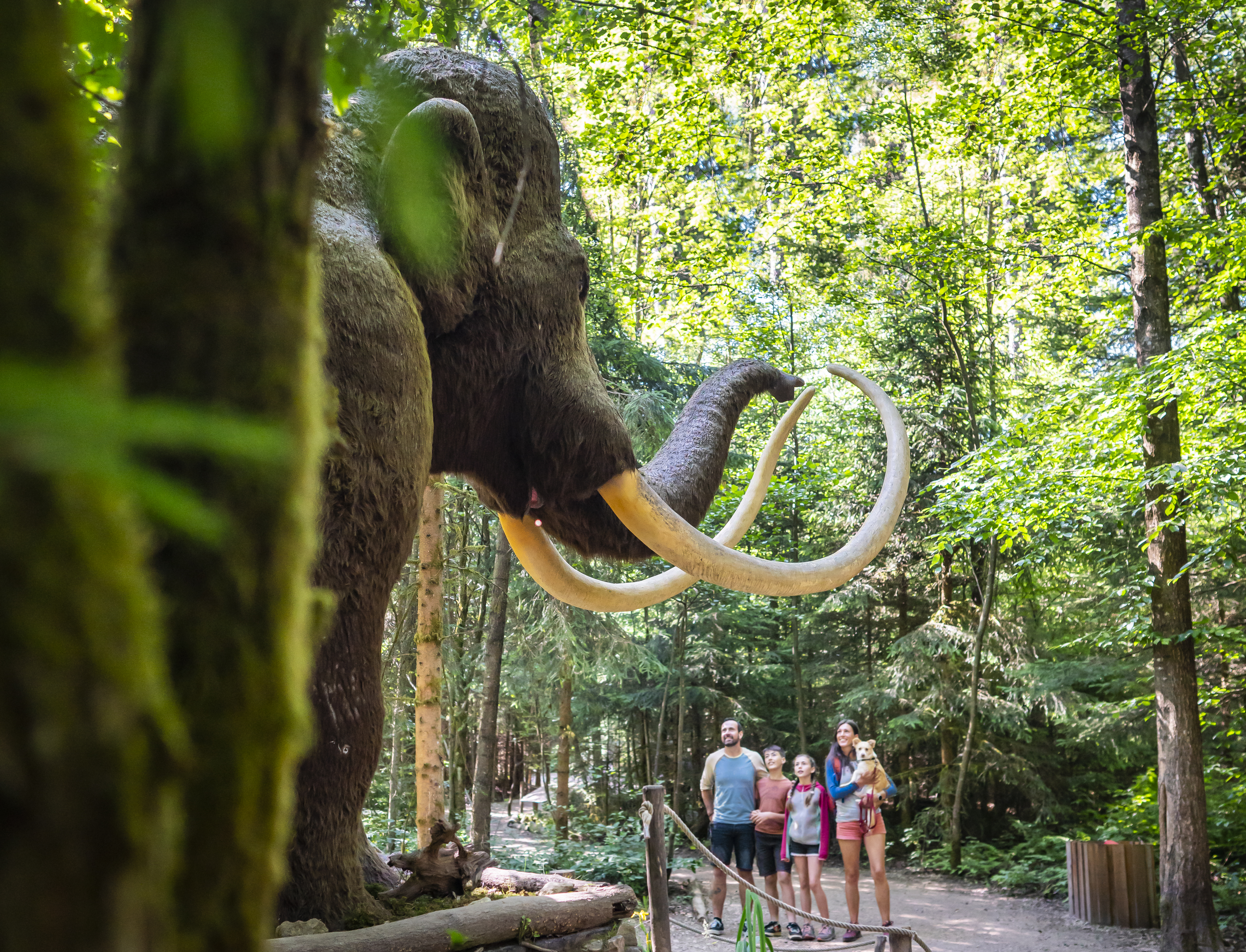 Familienticket für das Dinosaurier Museum Altmühltal inkl. Verpflegung