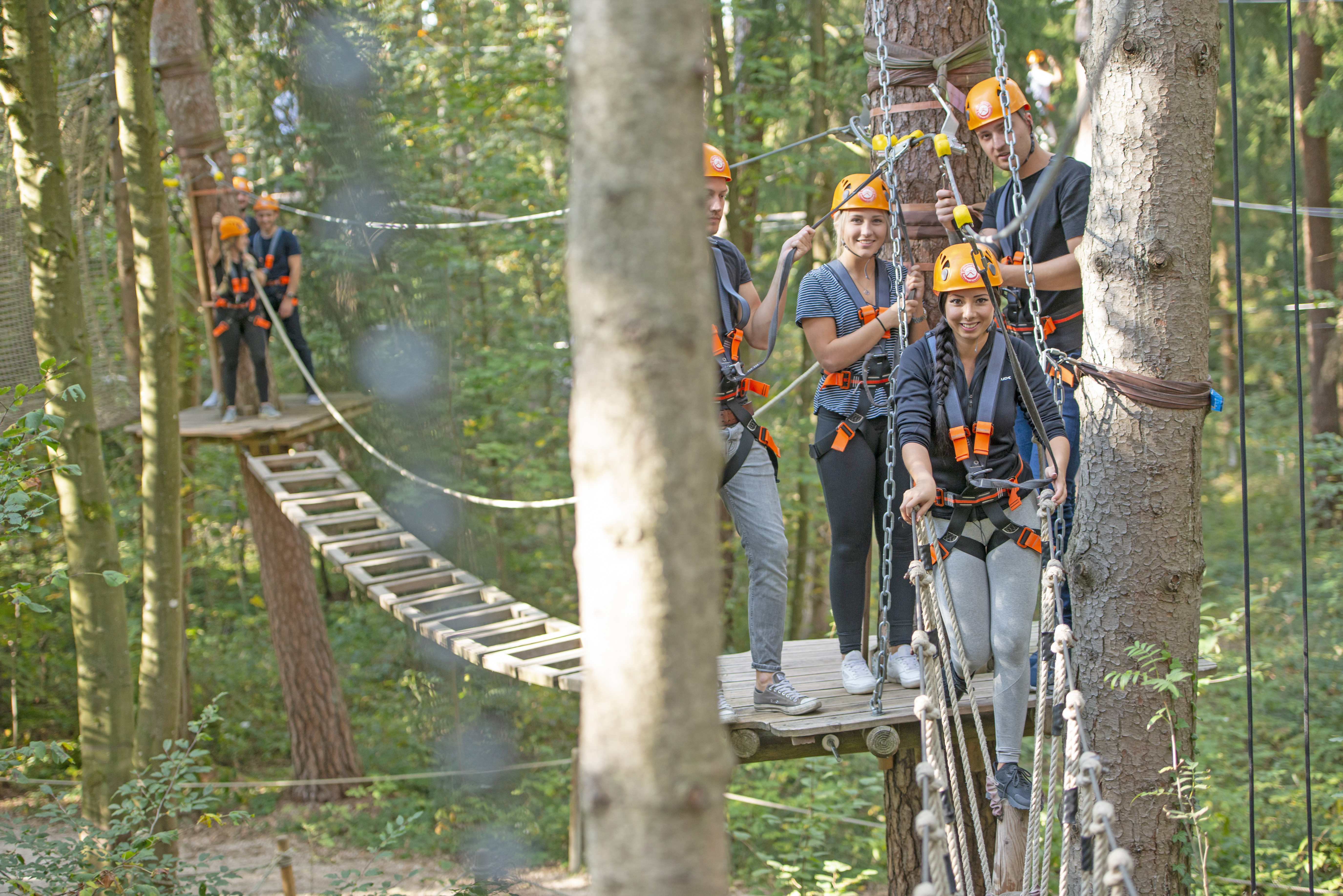 50-Euro-Gutschein für den Münchner Wald Kletterwald Vaterstetten