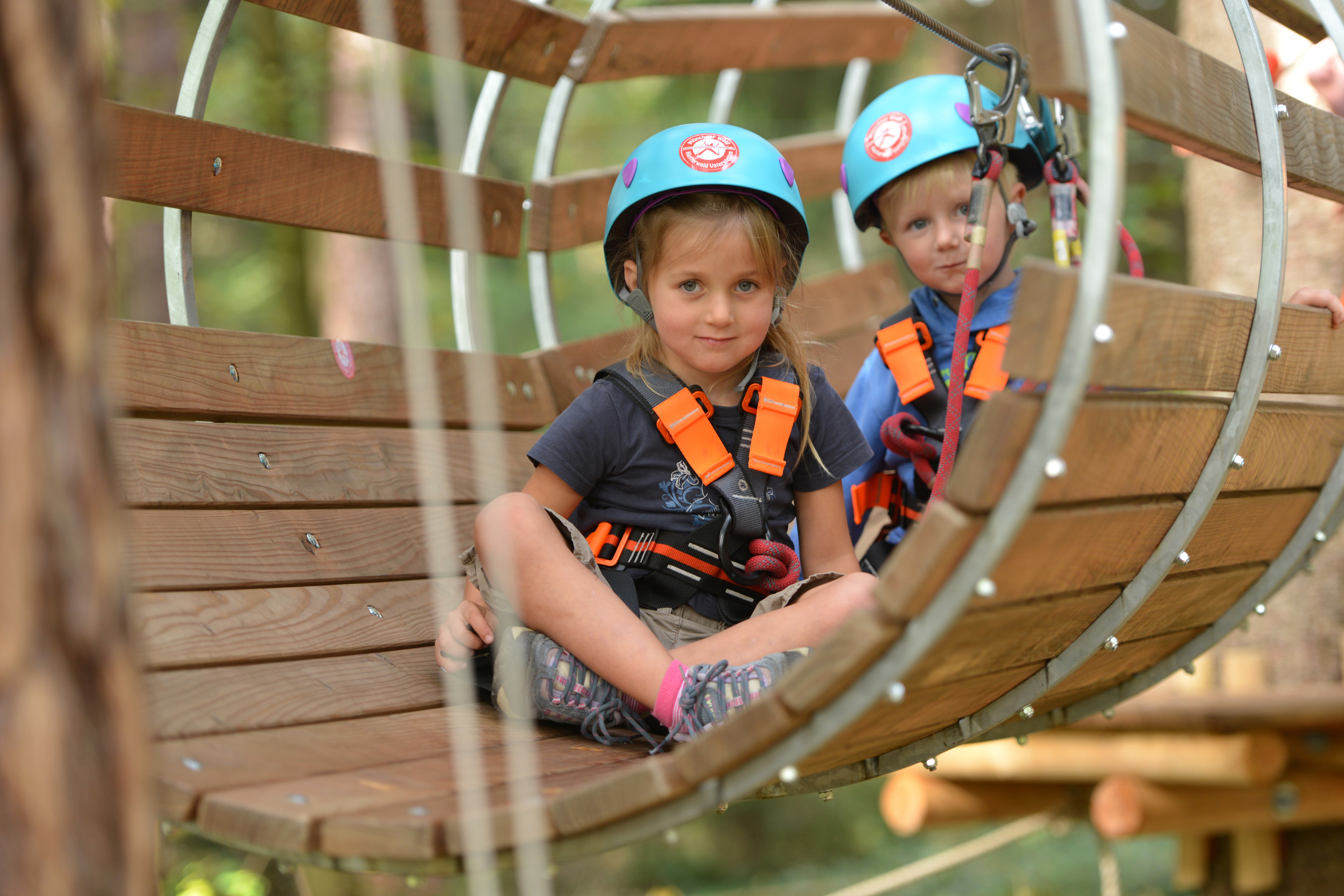 50-Euro-Gutschein für den Münchner Wald Kletterwald Vaterstetten