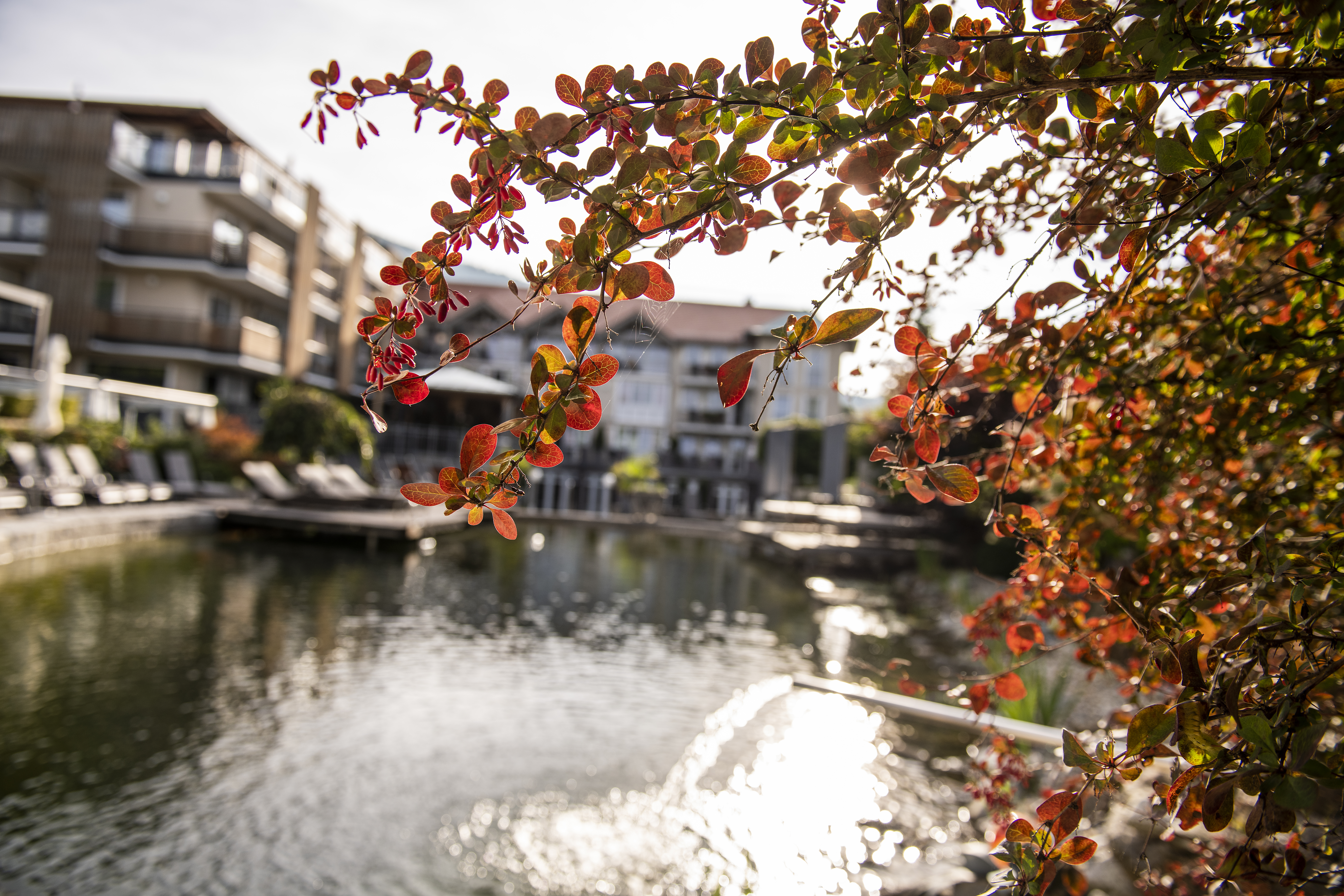 4 Nächte GlücksZeit in der Juniorsuite Garten.Blick - Next Level für 2 Personen im Bodenmaiser Hof