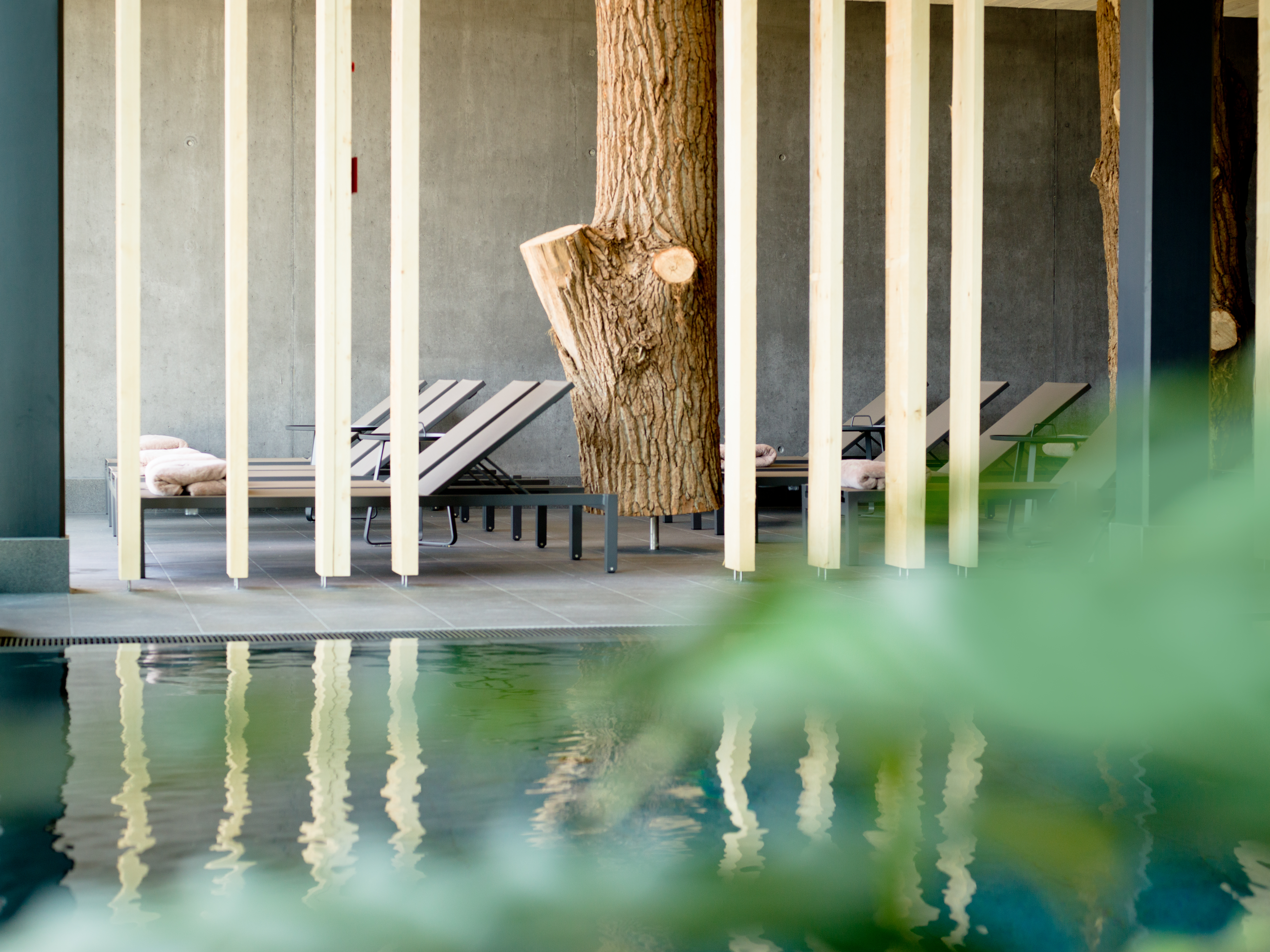 2 Übernachtungen im Woidhaisl-Chalet beim 4****S Hotel EULER Neuschönau