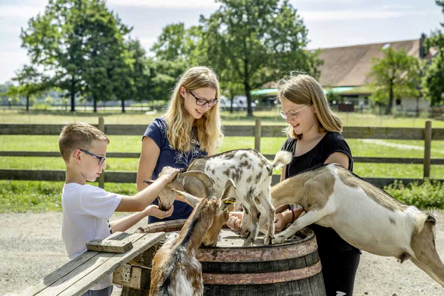 UrlaubsGutschein im Wert von 520 € für das 4-Sterne-Hotel Haslinger Hof