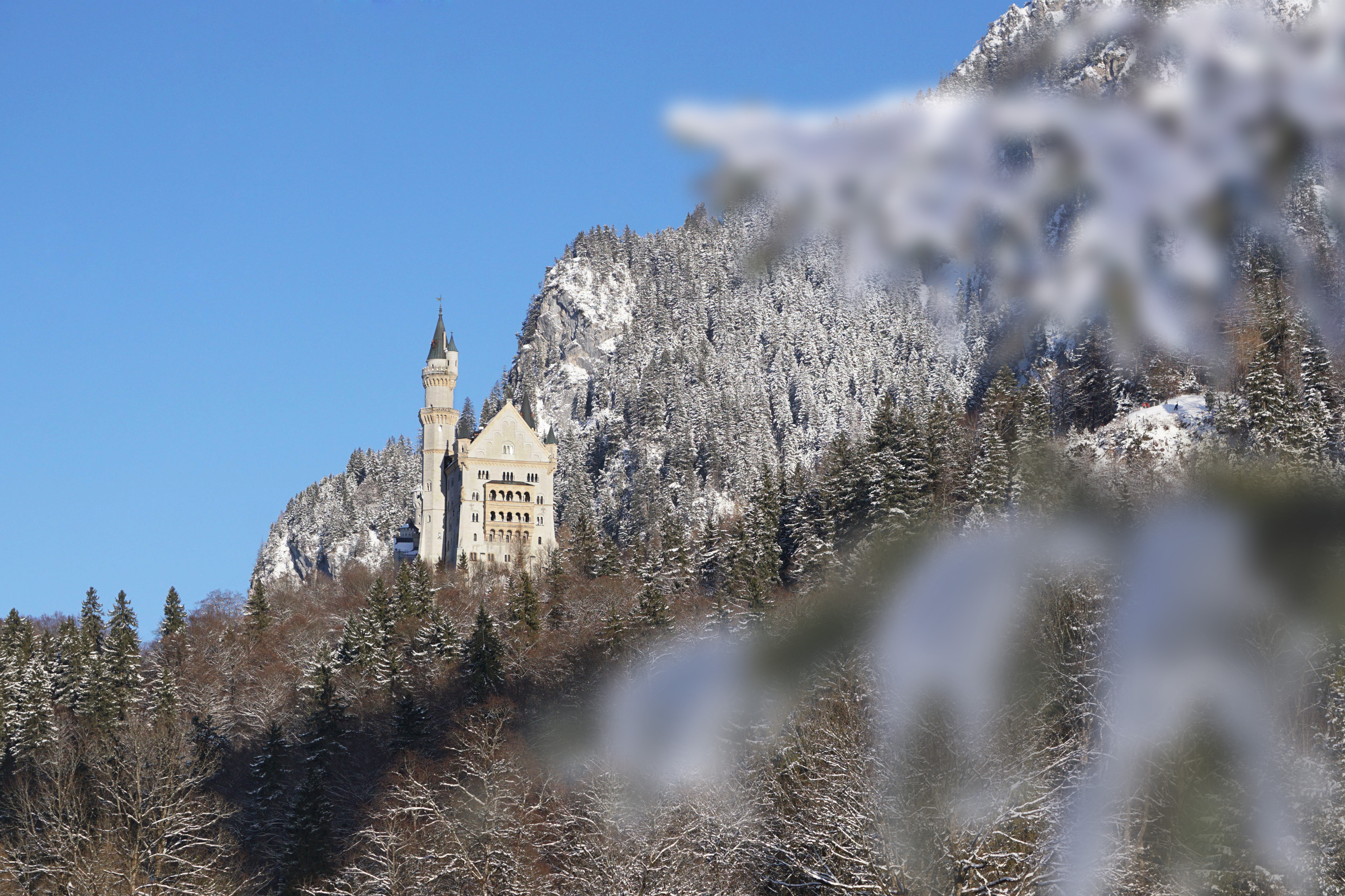 250-Euro-Gutschein für Kurzurlaub im Biohotel Eggensberger**** 250-Euro-Gutschein für Kurzurlaub im Biohotel Eggensberger****