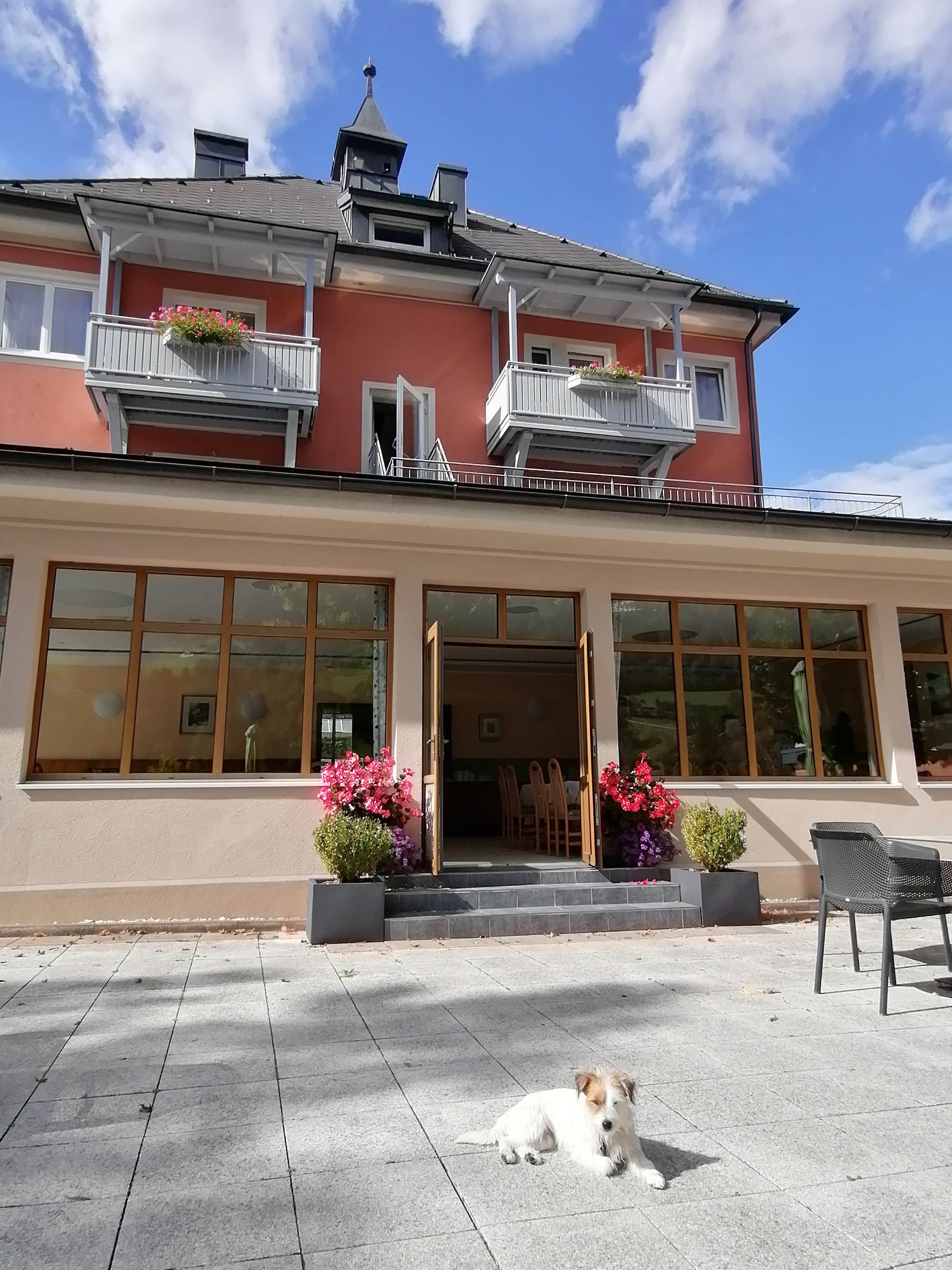 Strandhotel Burgstaller: Urlaub mit Hund direkt am See