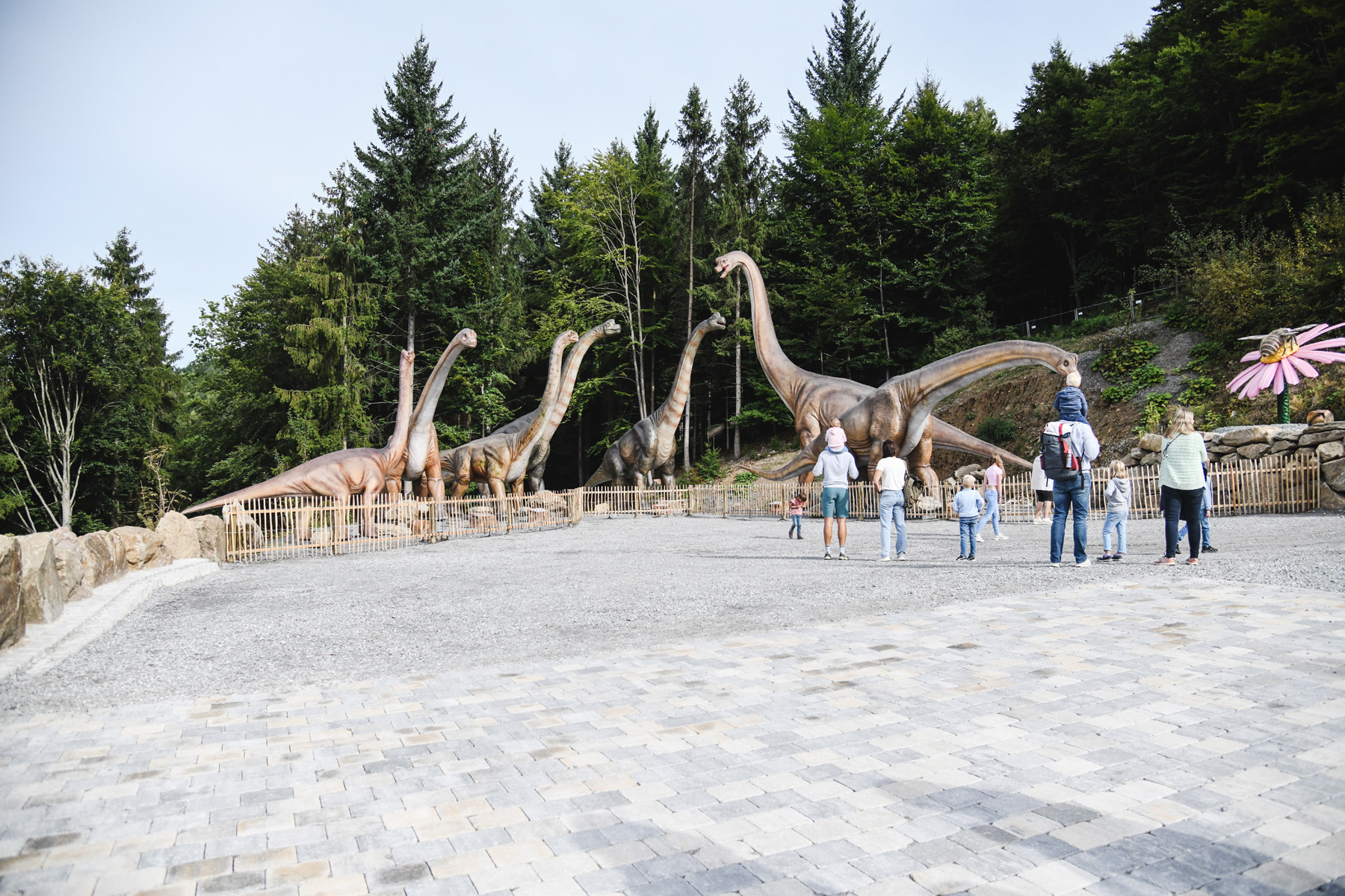 Tagesticket für den Edelwies Erlebnispark